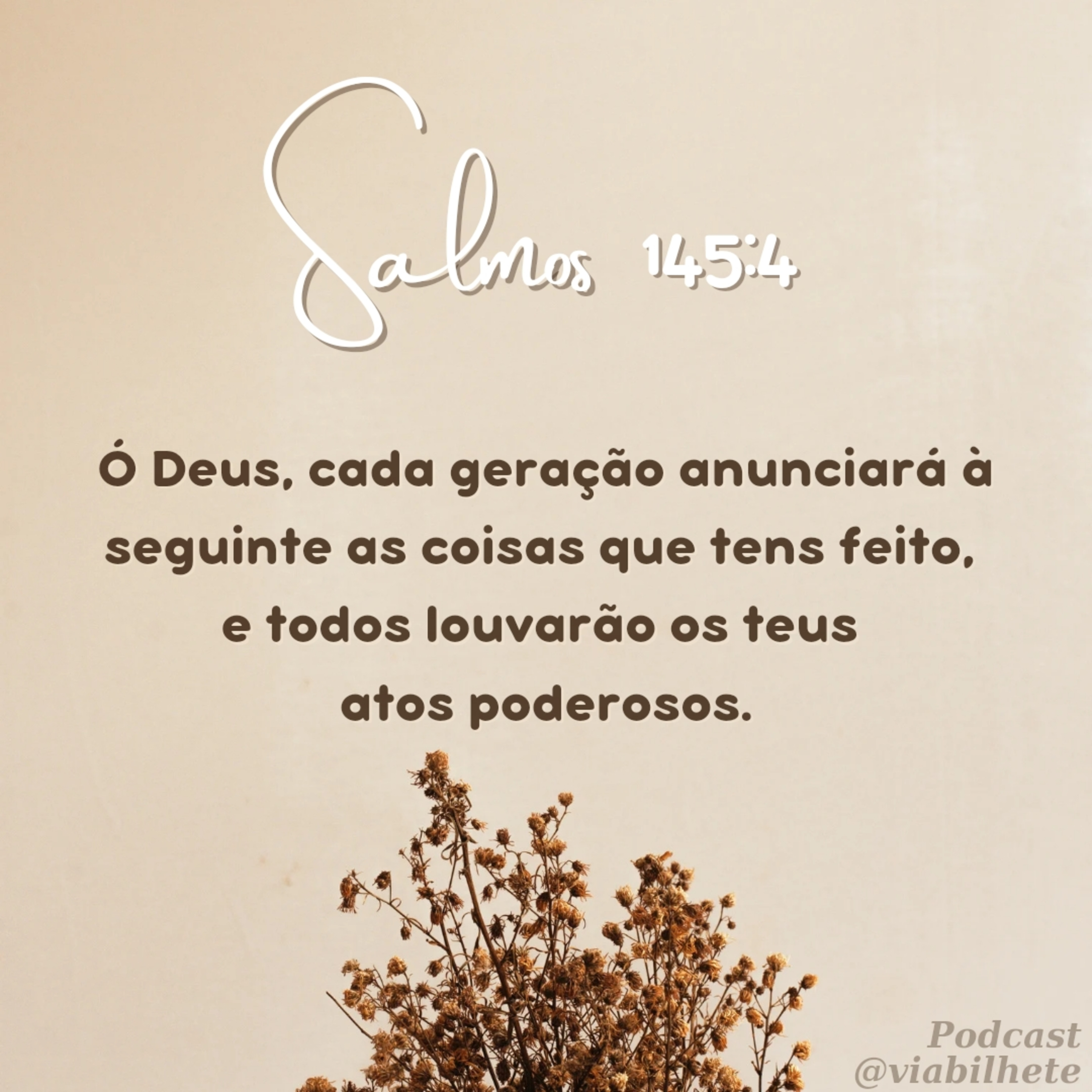 Você é único! cada um tem uma História de vida a contar. episode artwork