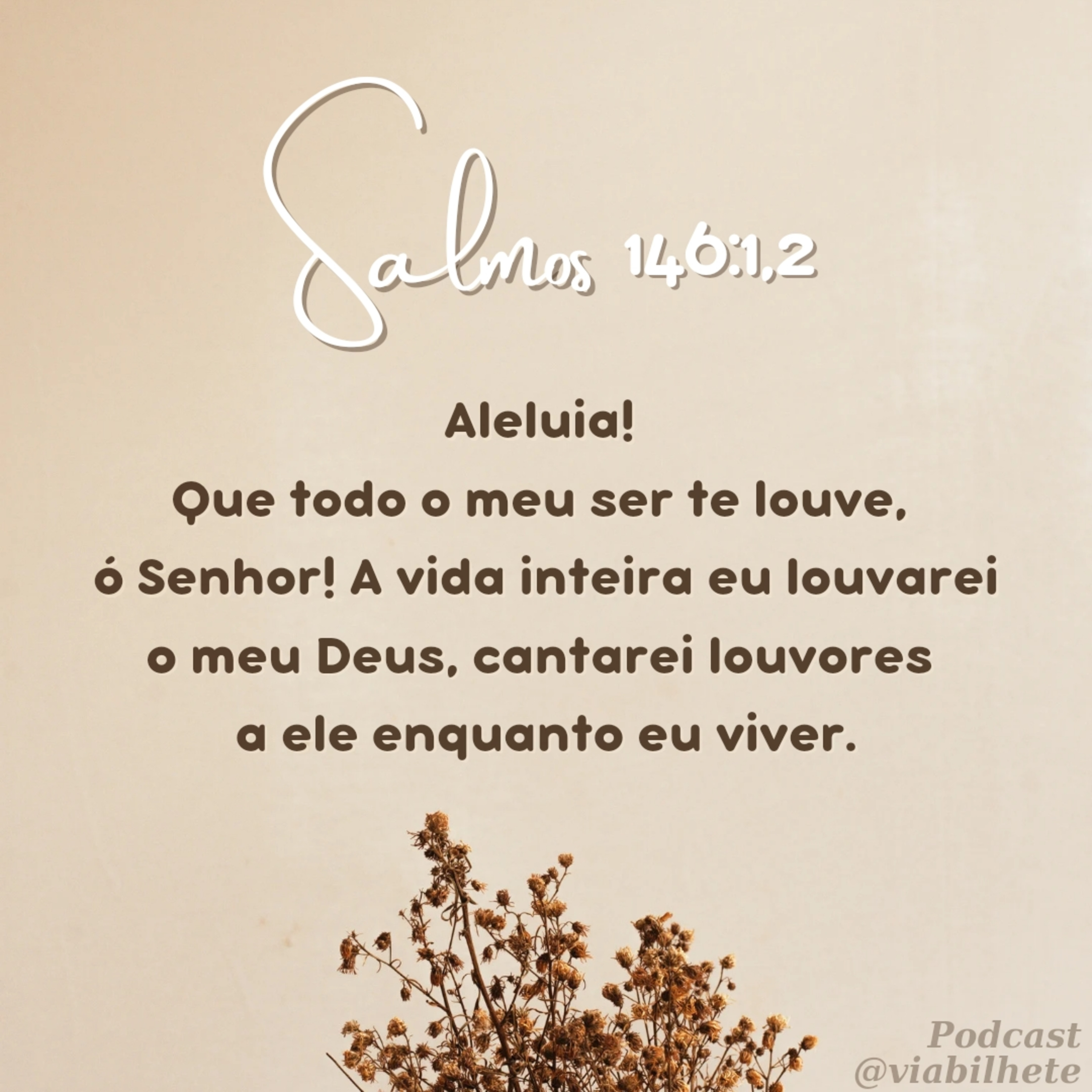Confie seus planos em Deus. episode artwork