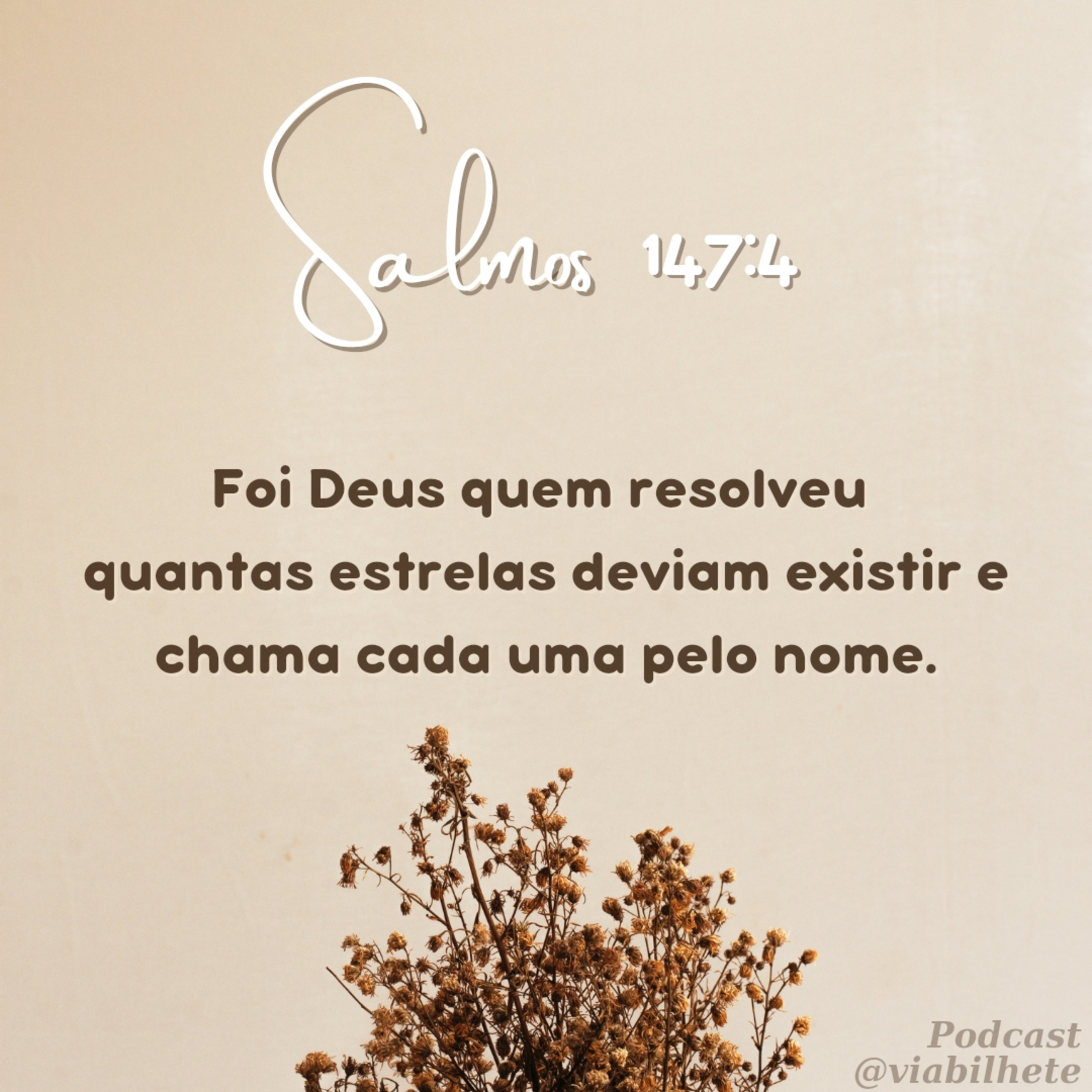 O Deus que criou trilhões de estrelas sabe o seu nome. episode artwork