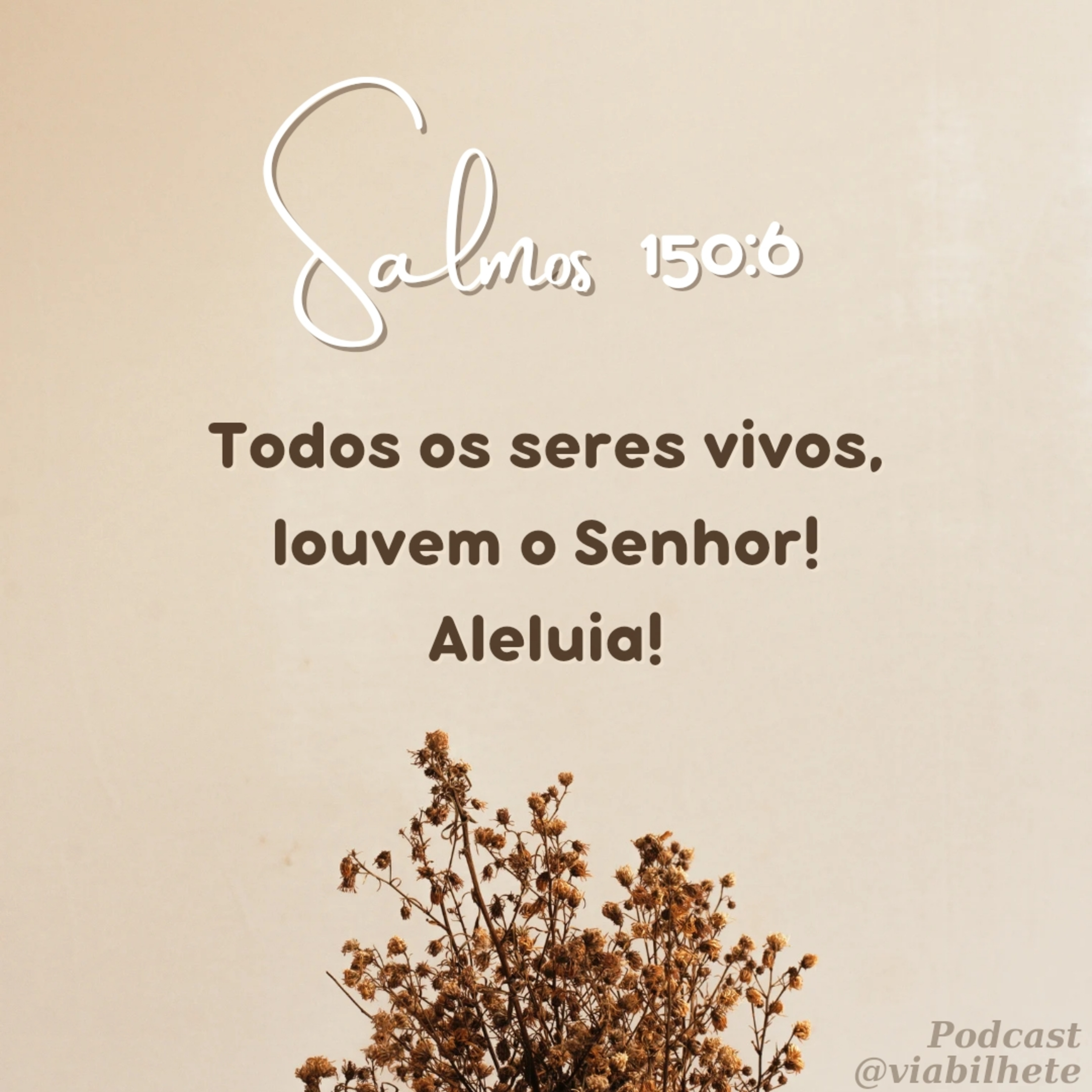 Todos os seres vivos louvem ao Senhor! episode artwork