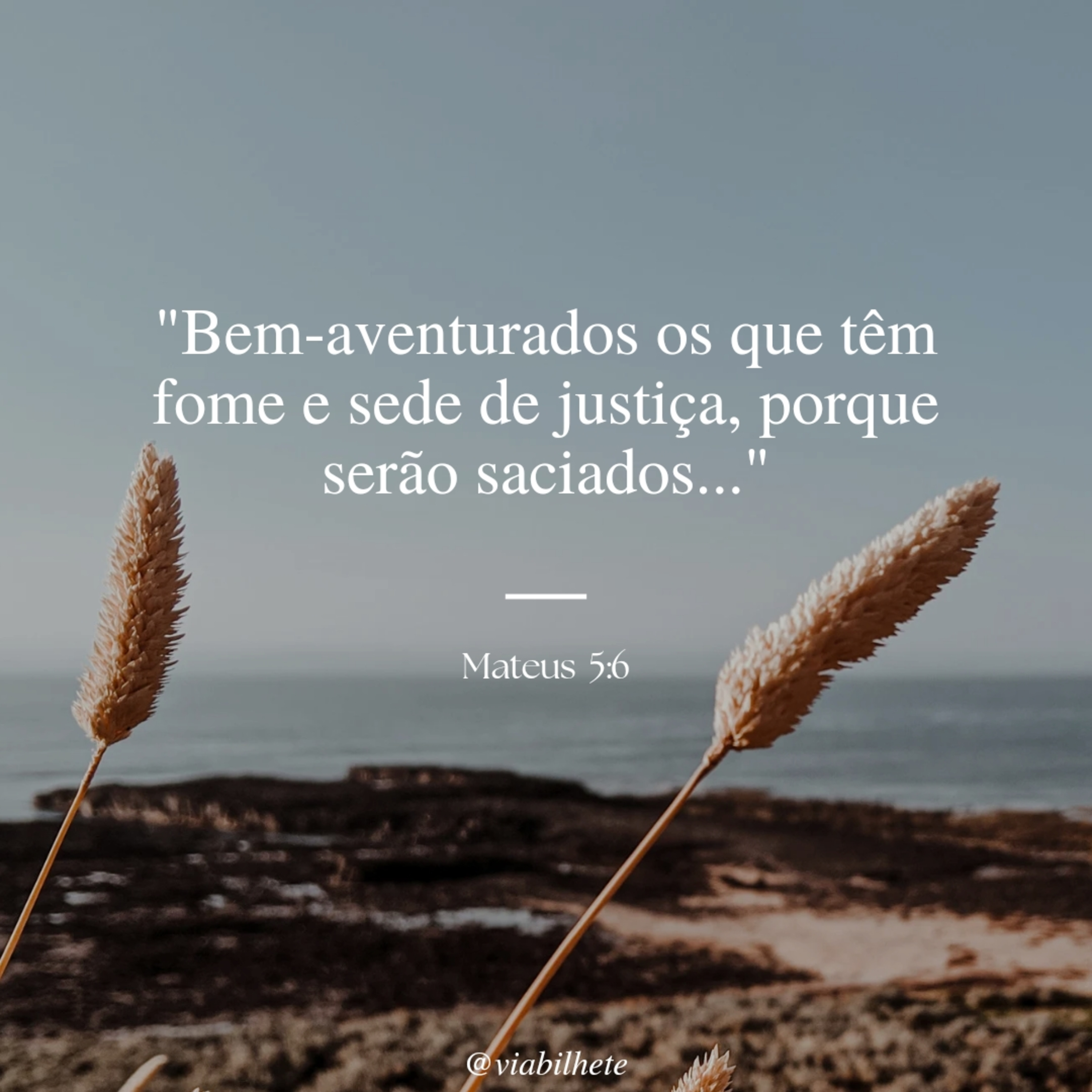 Bem-aventurados os que têm fome e sede de justiça episode artwork