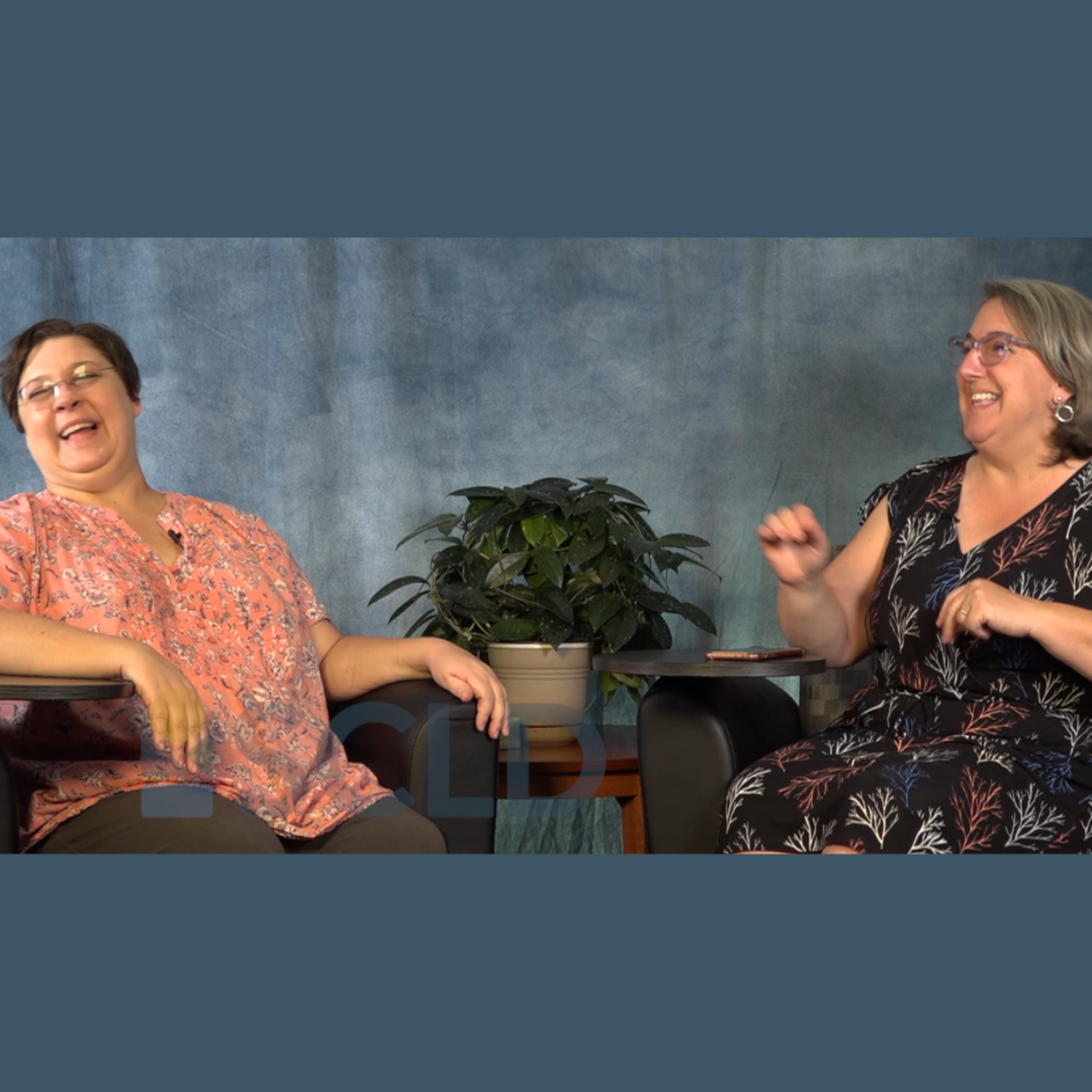 Library Out Loud: SCLD