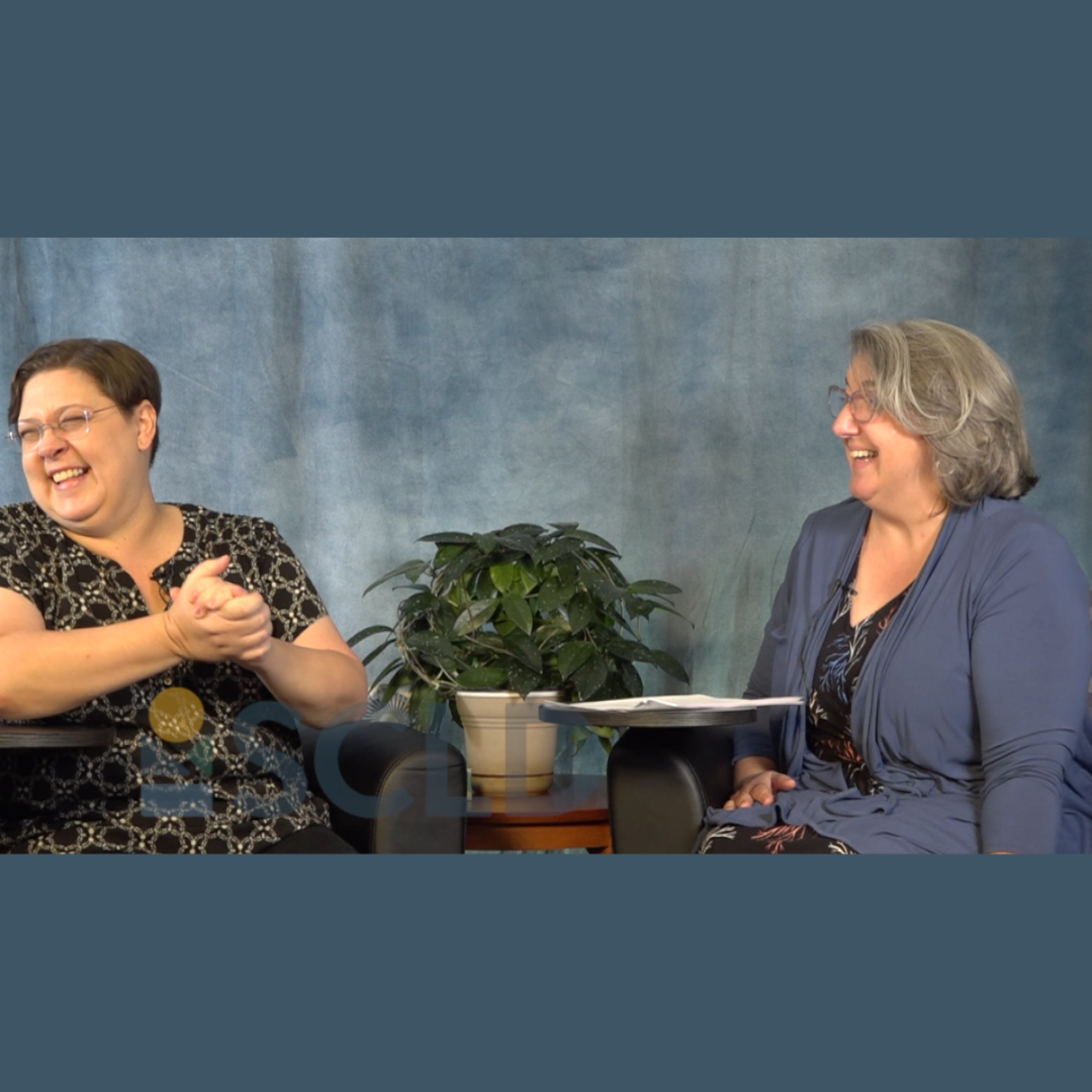 Library Out Loud: SCLD