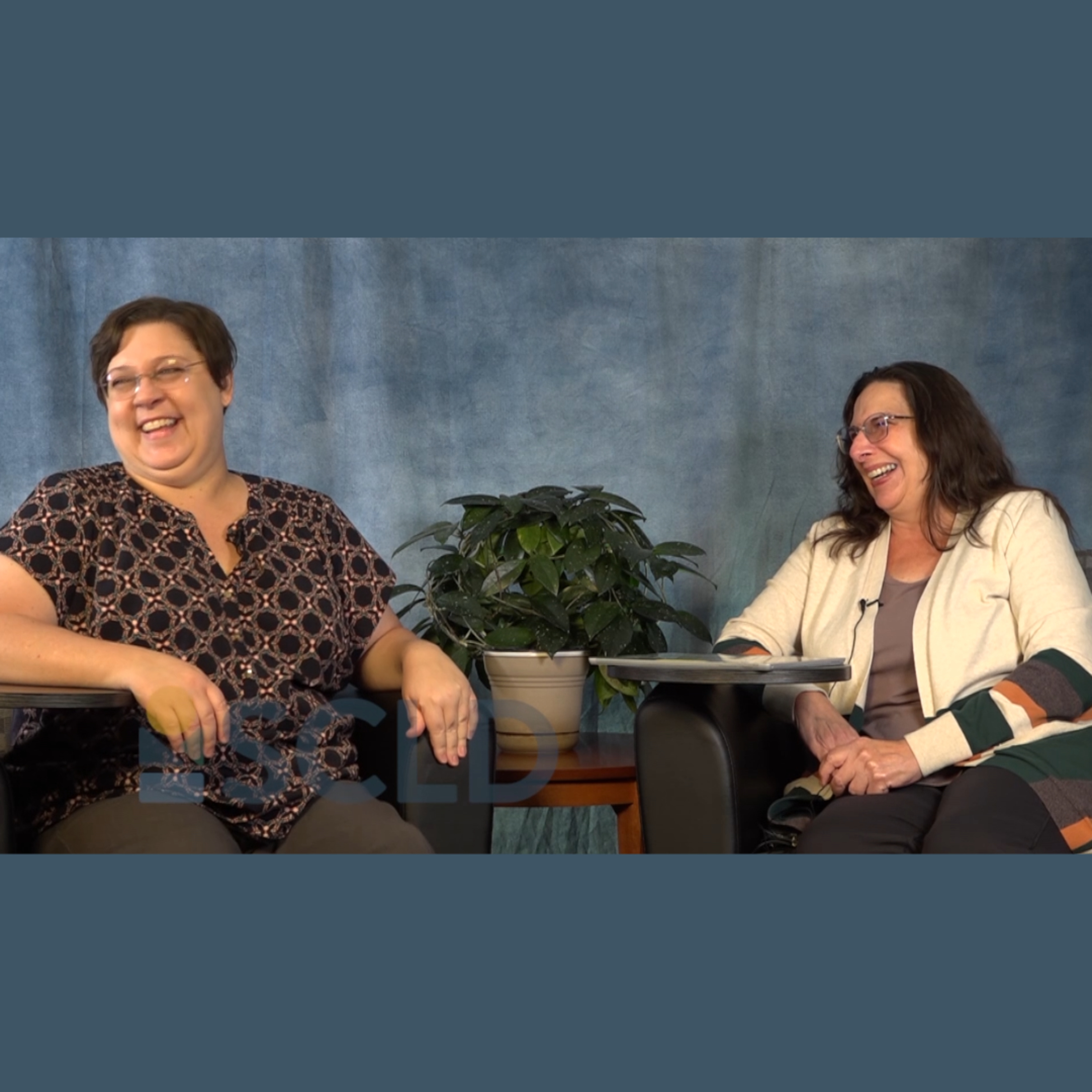 Library Out Loud: SCLD