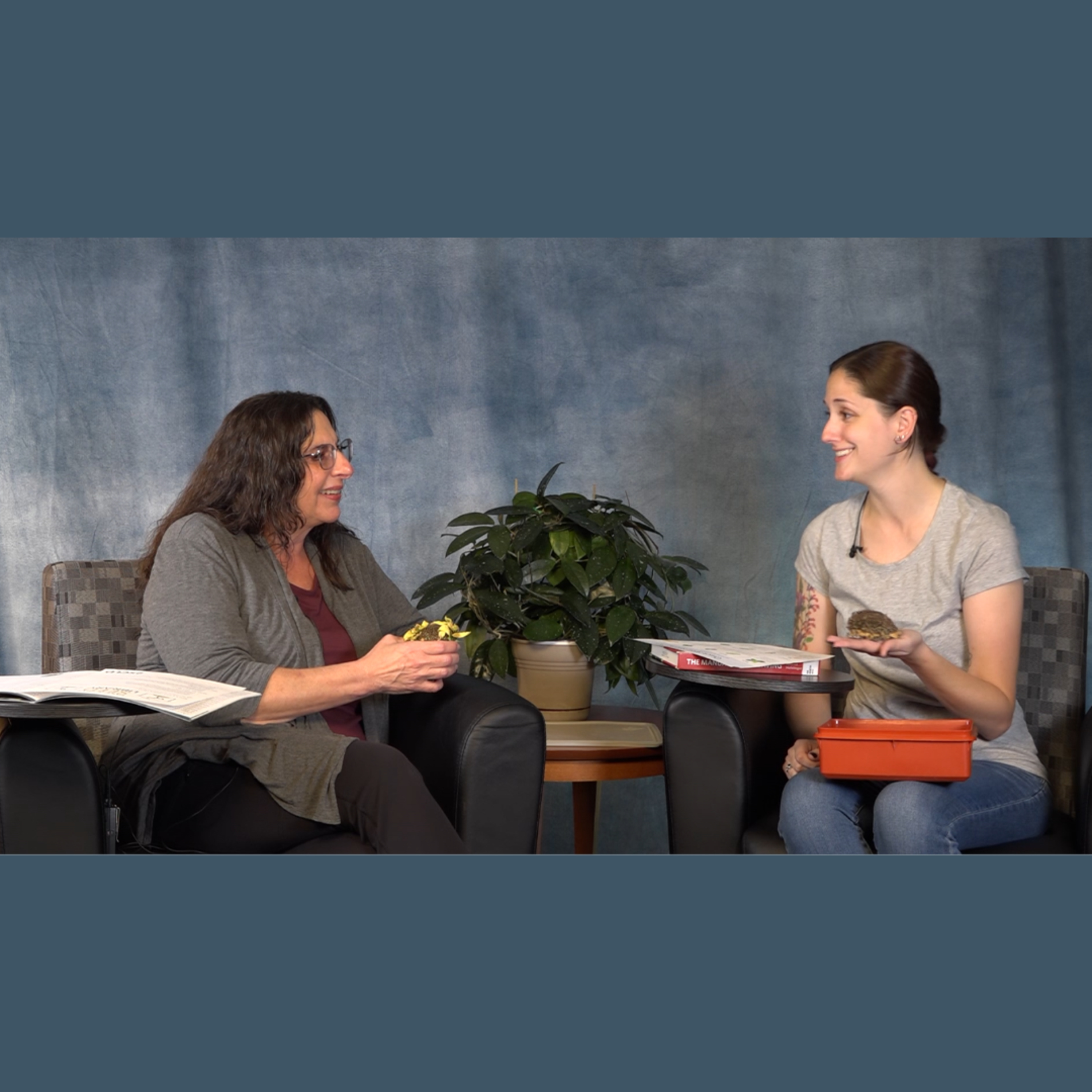 Library Out Loud: SCLD