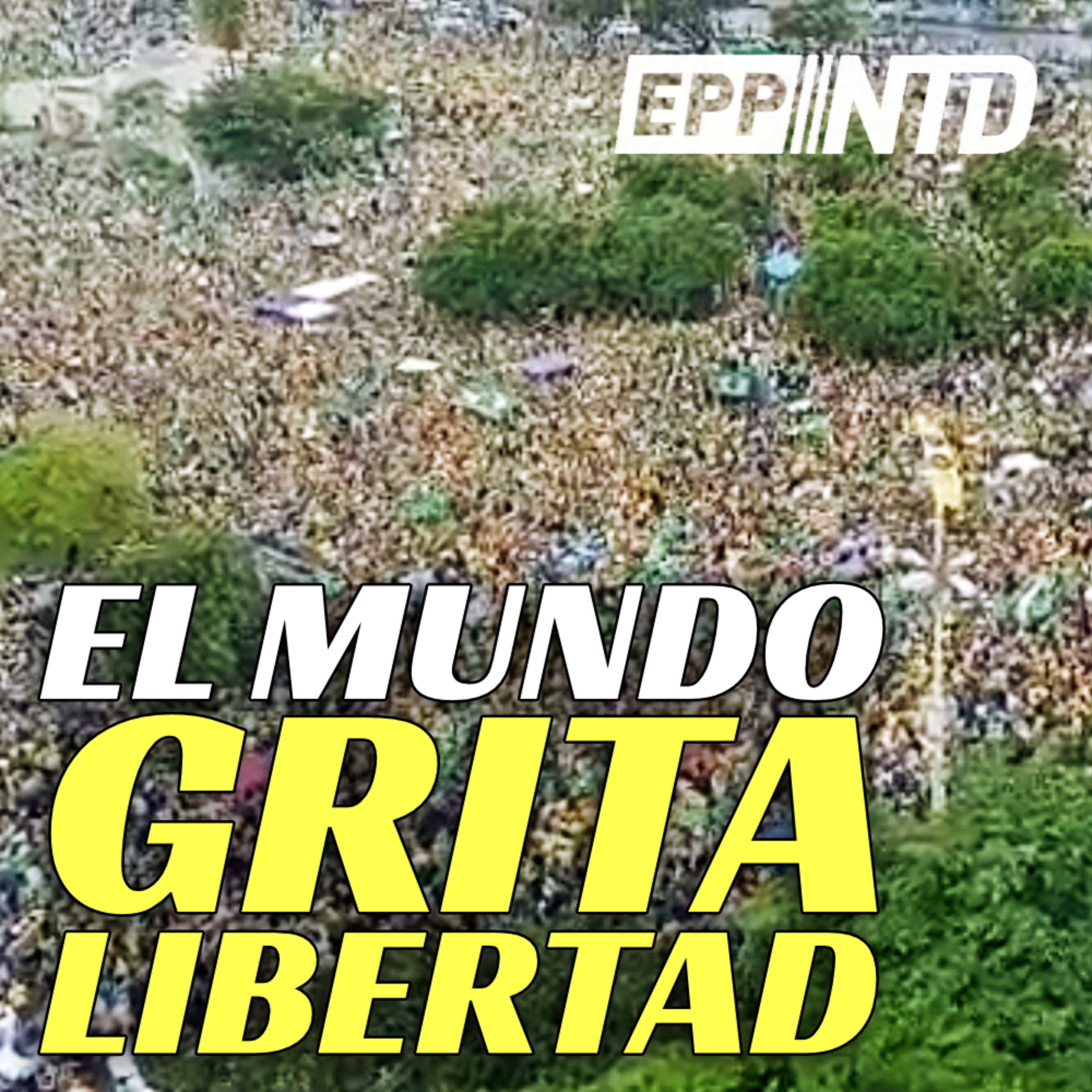 ¿Qué está pasando en Brasil? El pueblo se levanta contra Organización Criminal Transnacional episode artwork