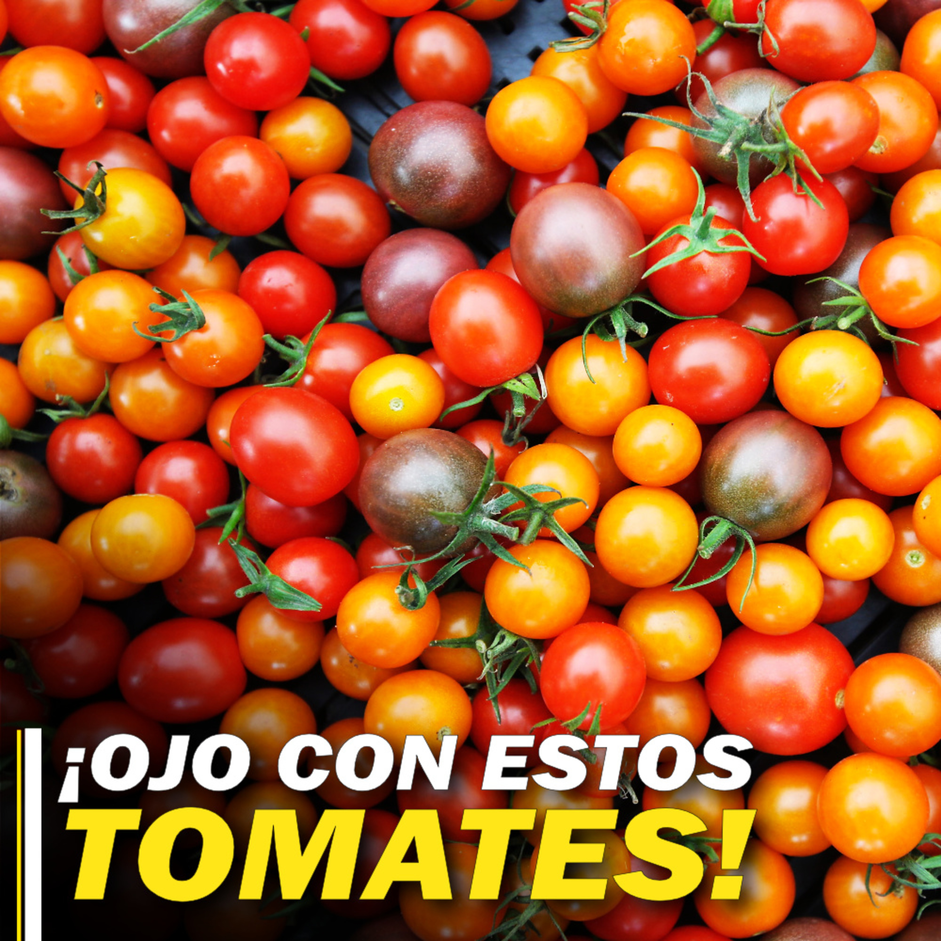 VACUNAS ORALES: Nuevos avances en el proyecto de vacunar a las personas con alimentos episode artwork