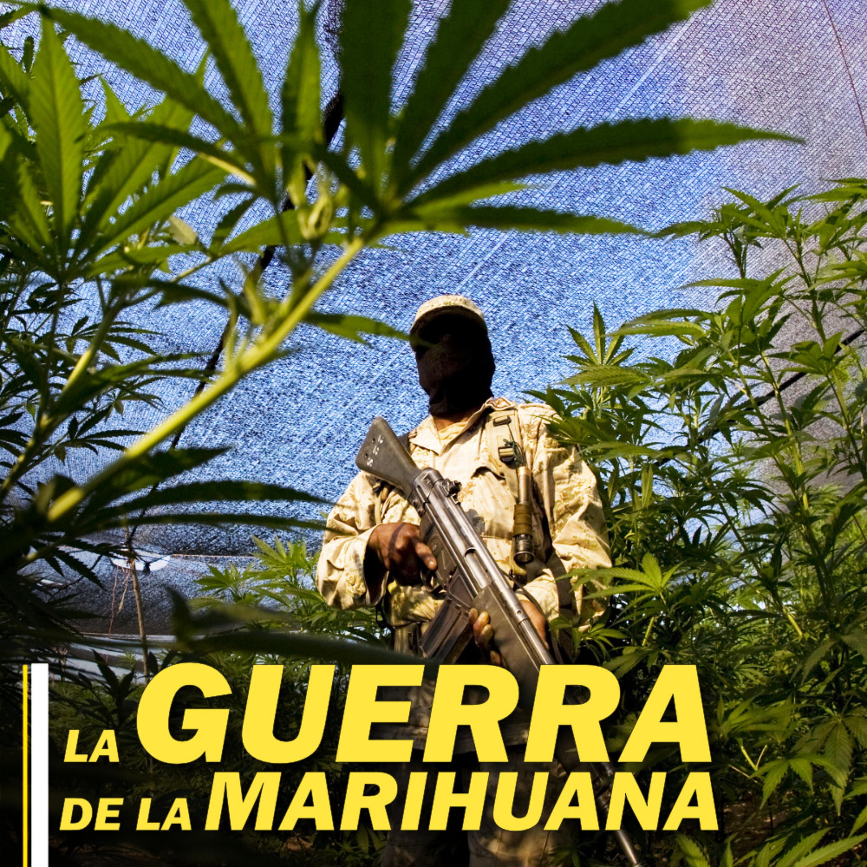 Sobornos, asesinatos y tiroteos: los cárteles mexicanos convierten EE. UU. en "El Salvaje Oeste" episode artwork