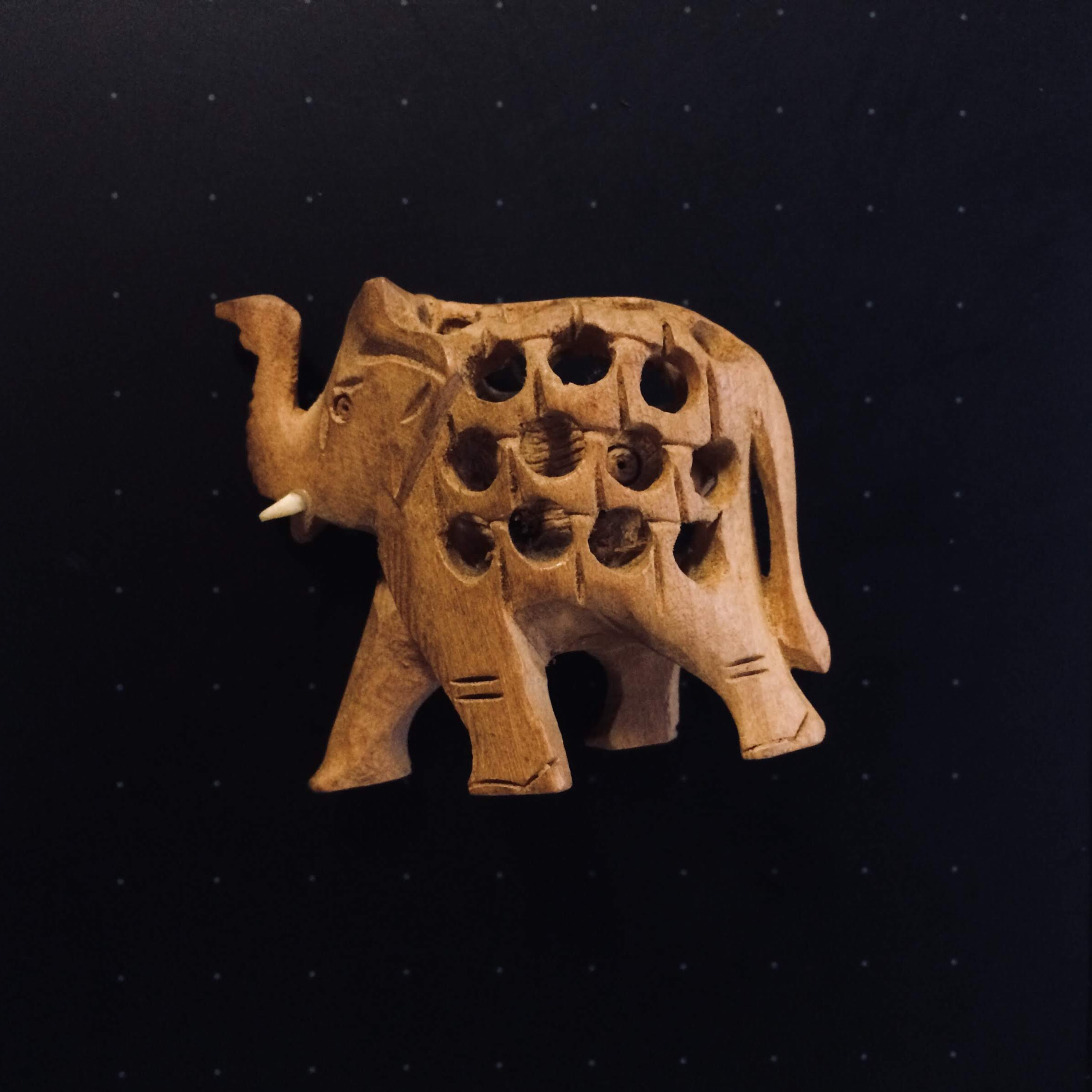 Introdução - O que significa O Elefante na Sala?