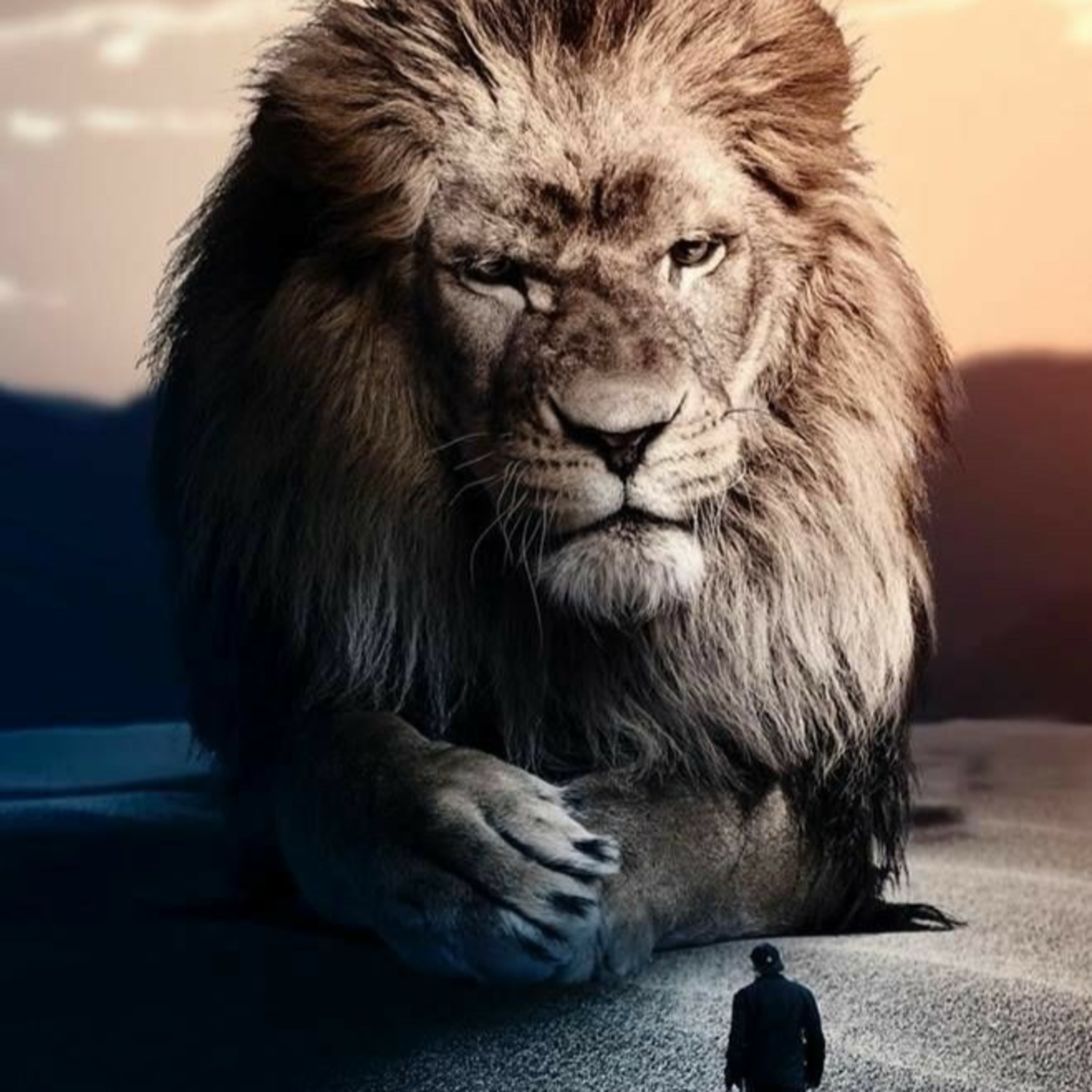 The Lion\'s Den With Seth