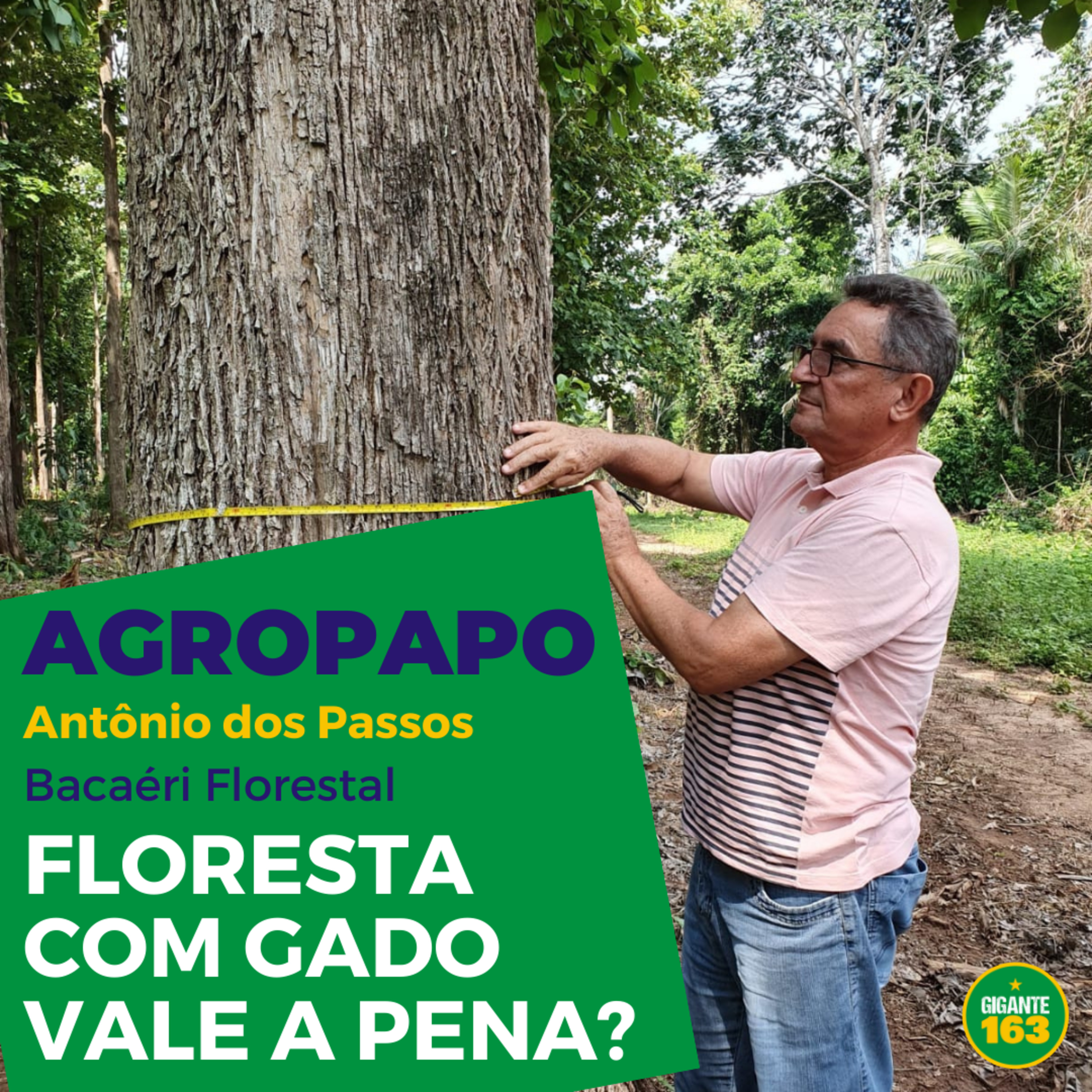 AgroPapo: Entrevistas sobre o Agronegócio, com Lucas Sampaio e convidados