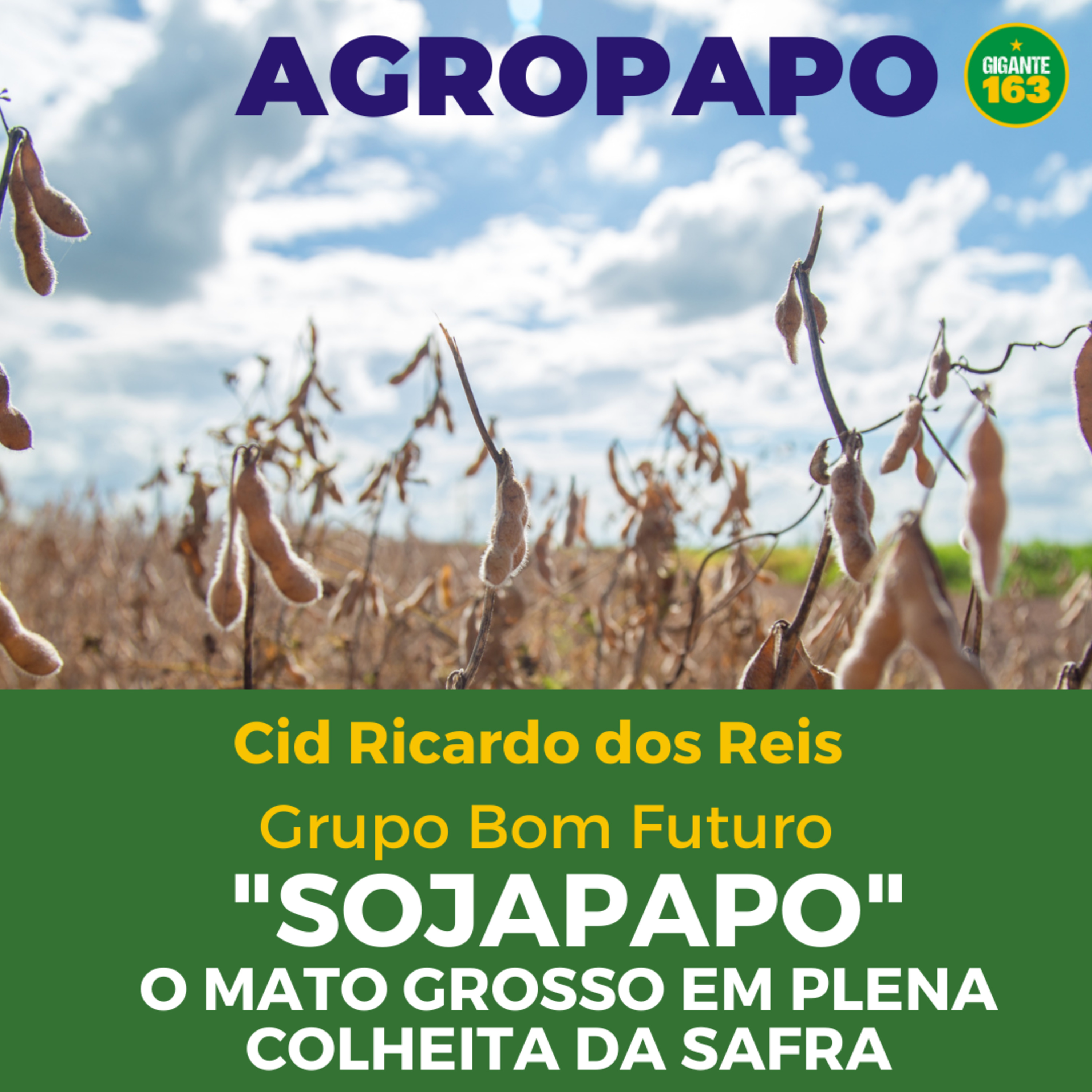 AgroPapo: Entrevistas sobre o Agronegócio, com Lucas Sampaio e convidados