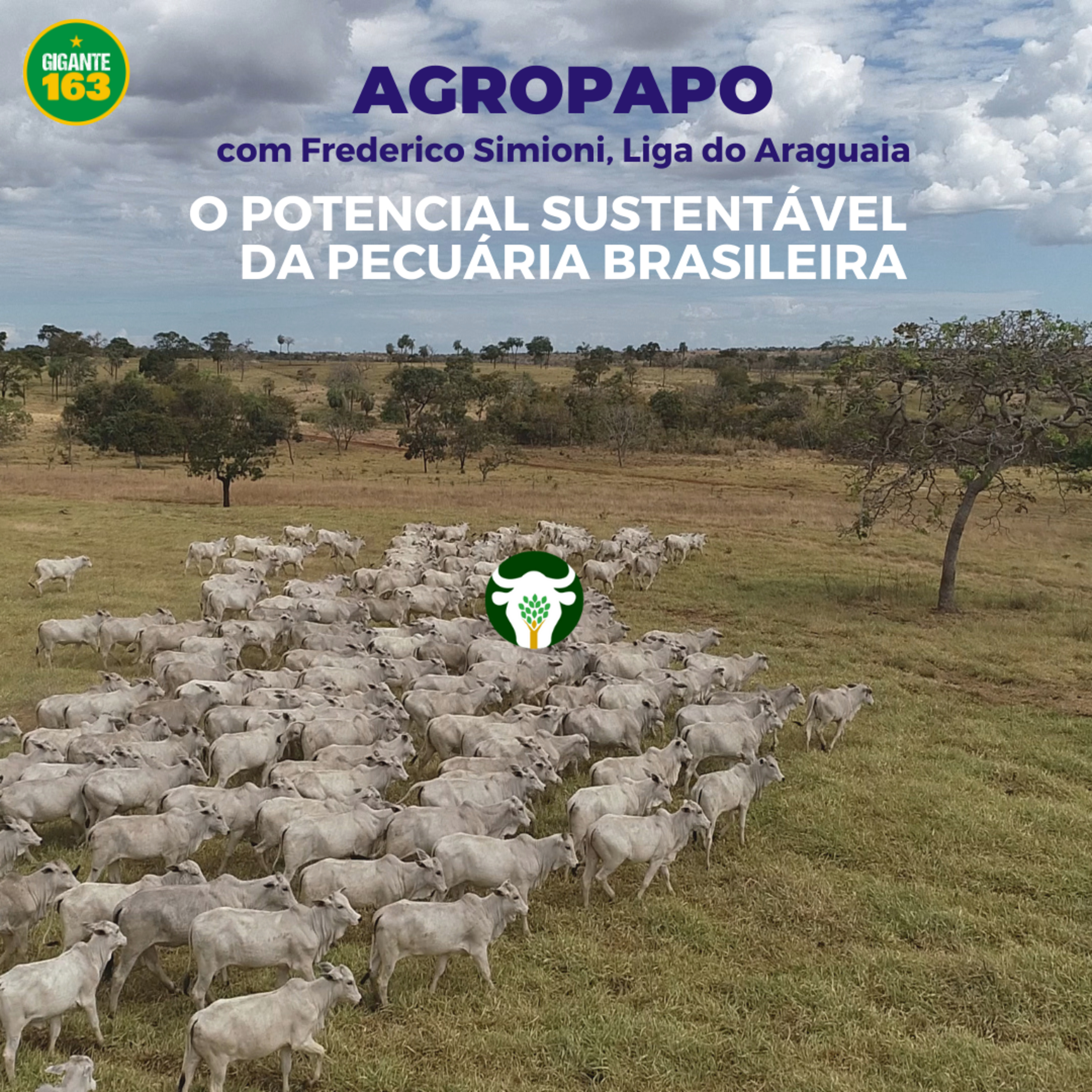 AgroPapo: Entrevistas sobre o Agronegócio, com Lucas Sampaio e convidados