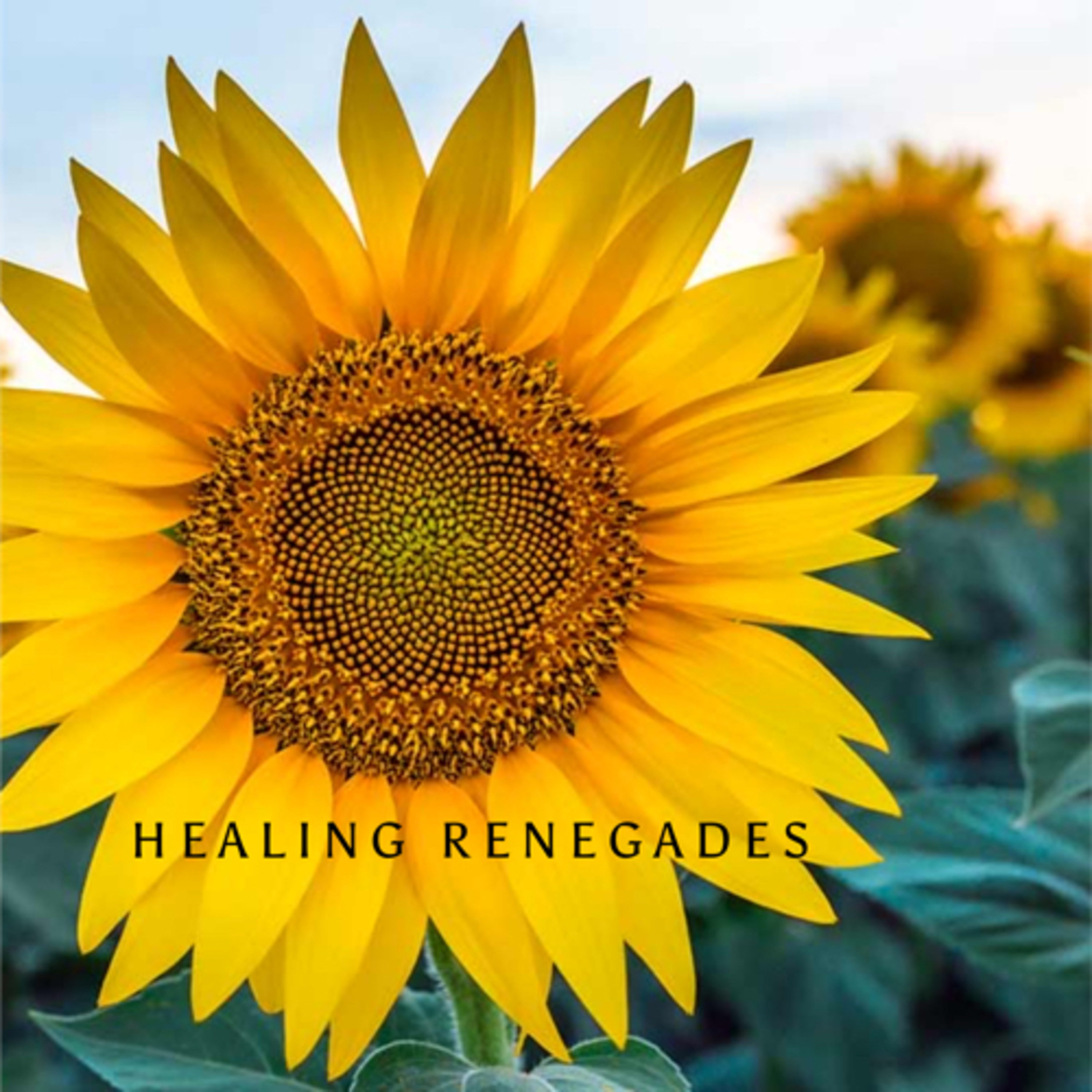 Healing Renegades