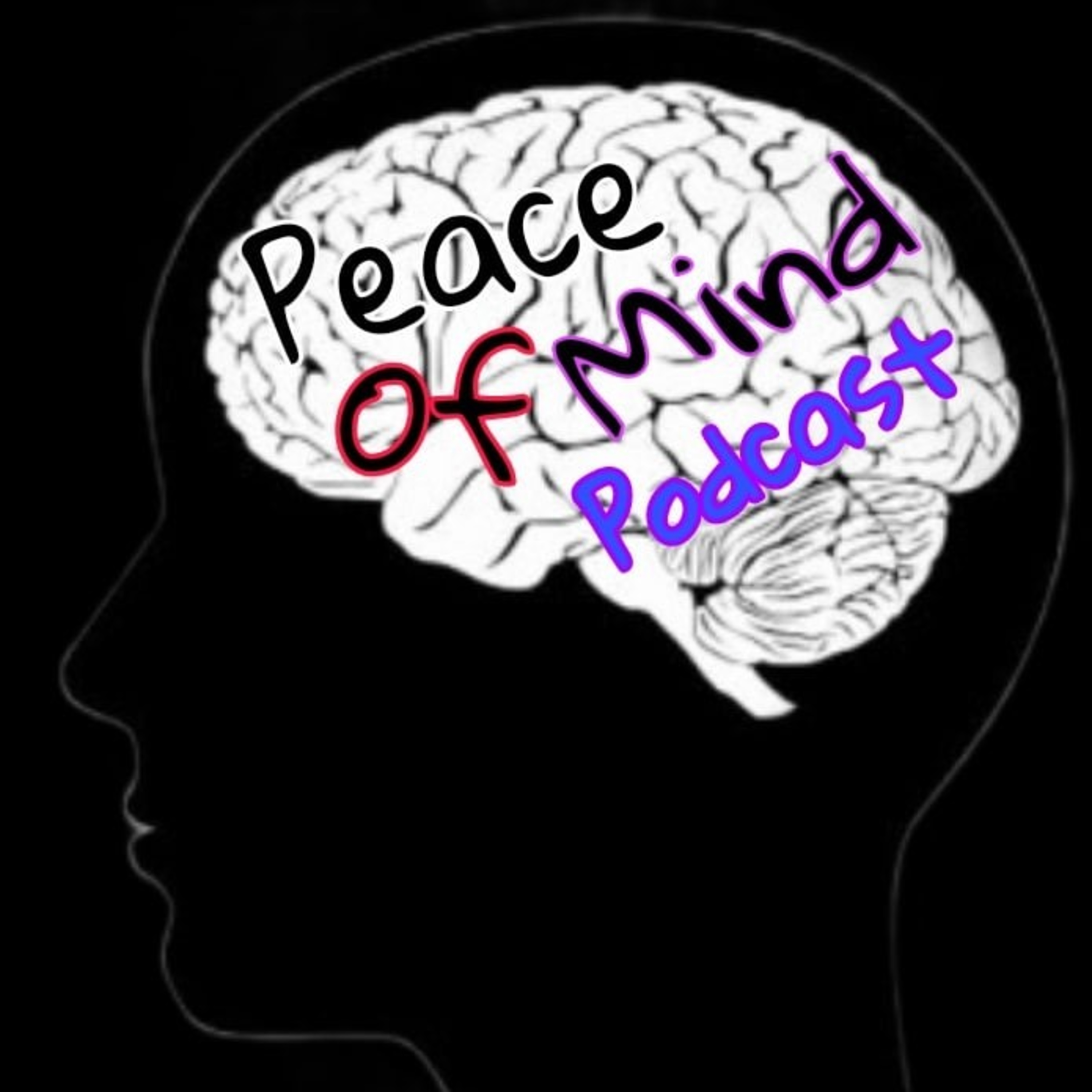 Peace of Mind Humanity "Bullying is shaming body of other people"