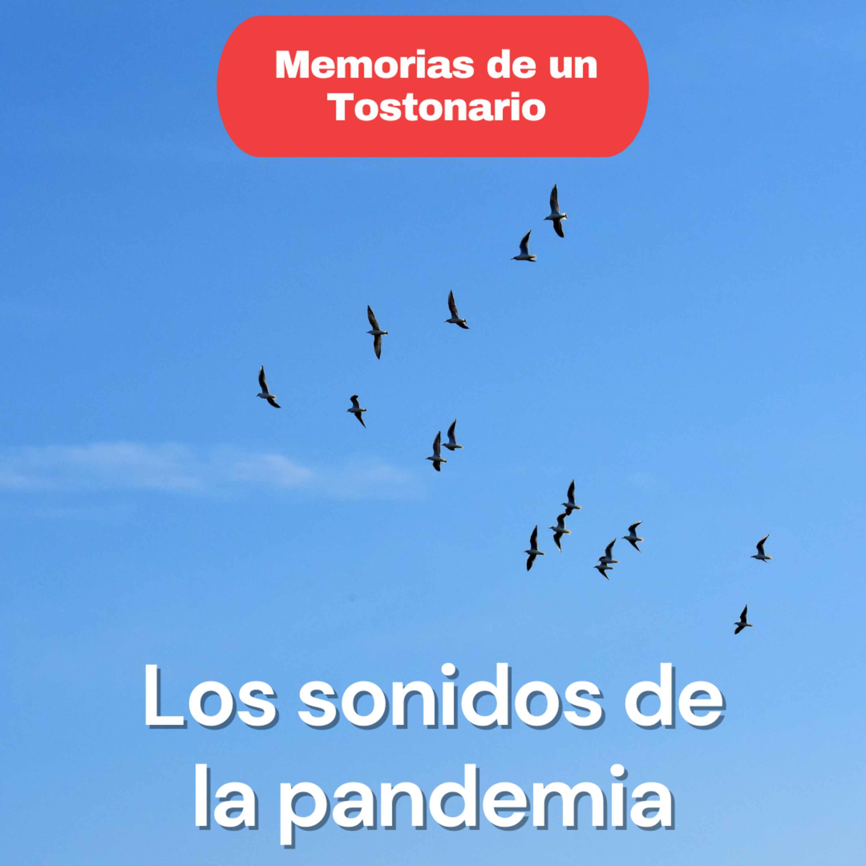 Memorias de un Tostonario