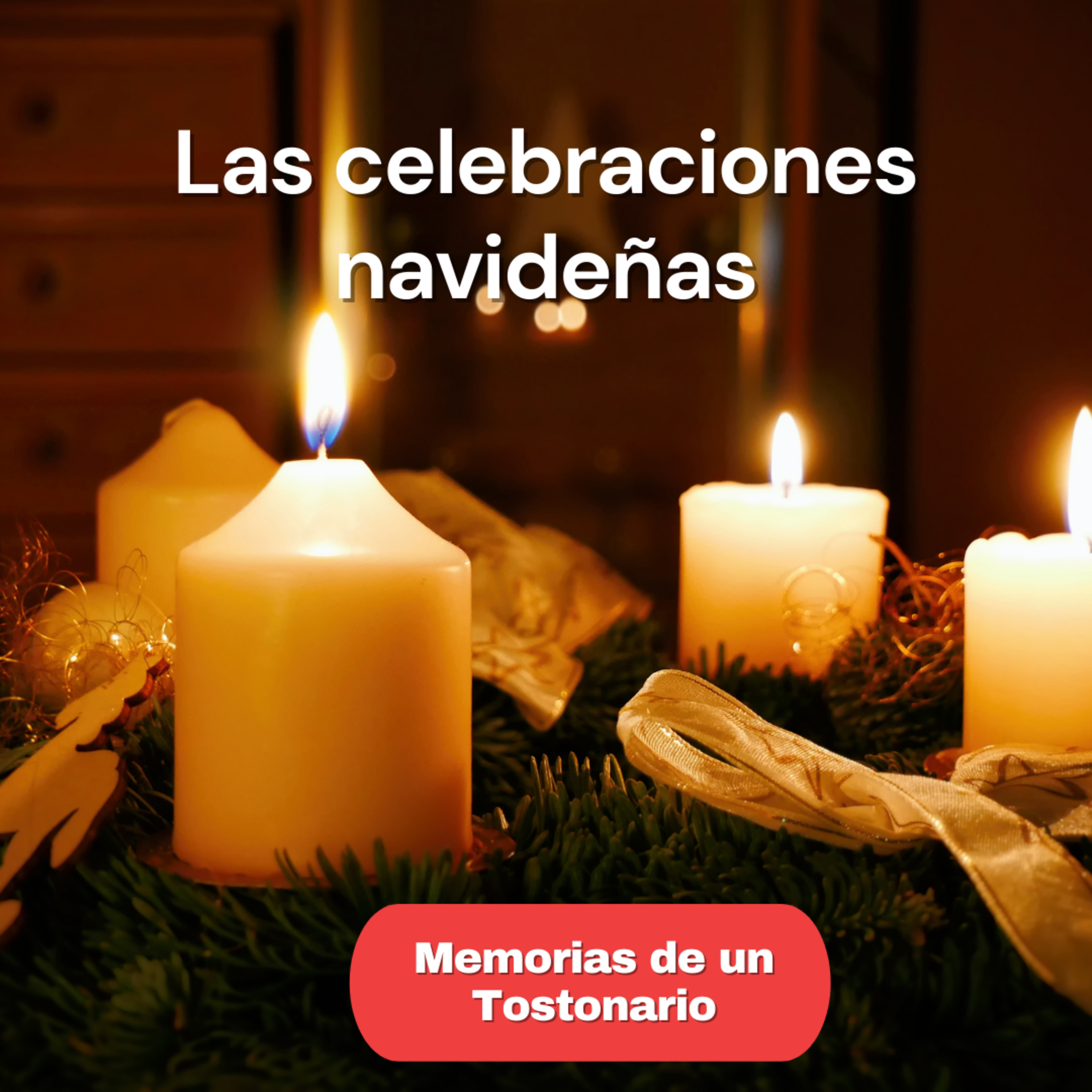Memorias de un Tostonario