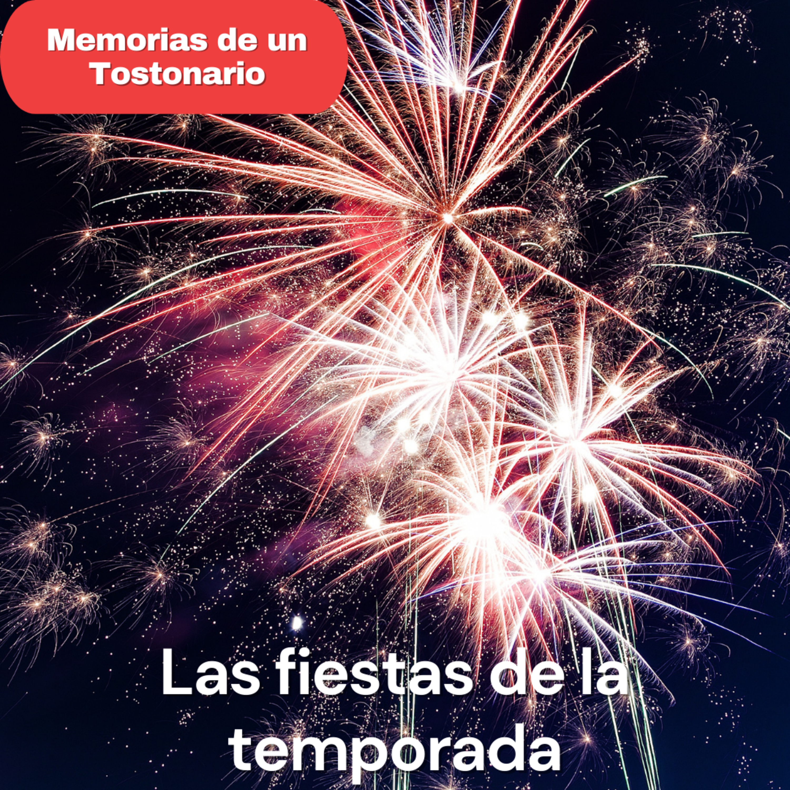 Memorias de un Tostonario