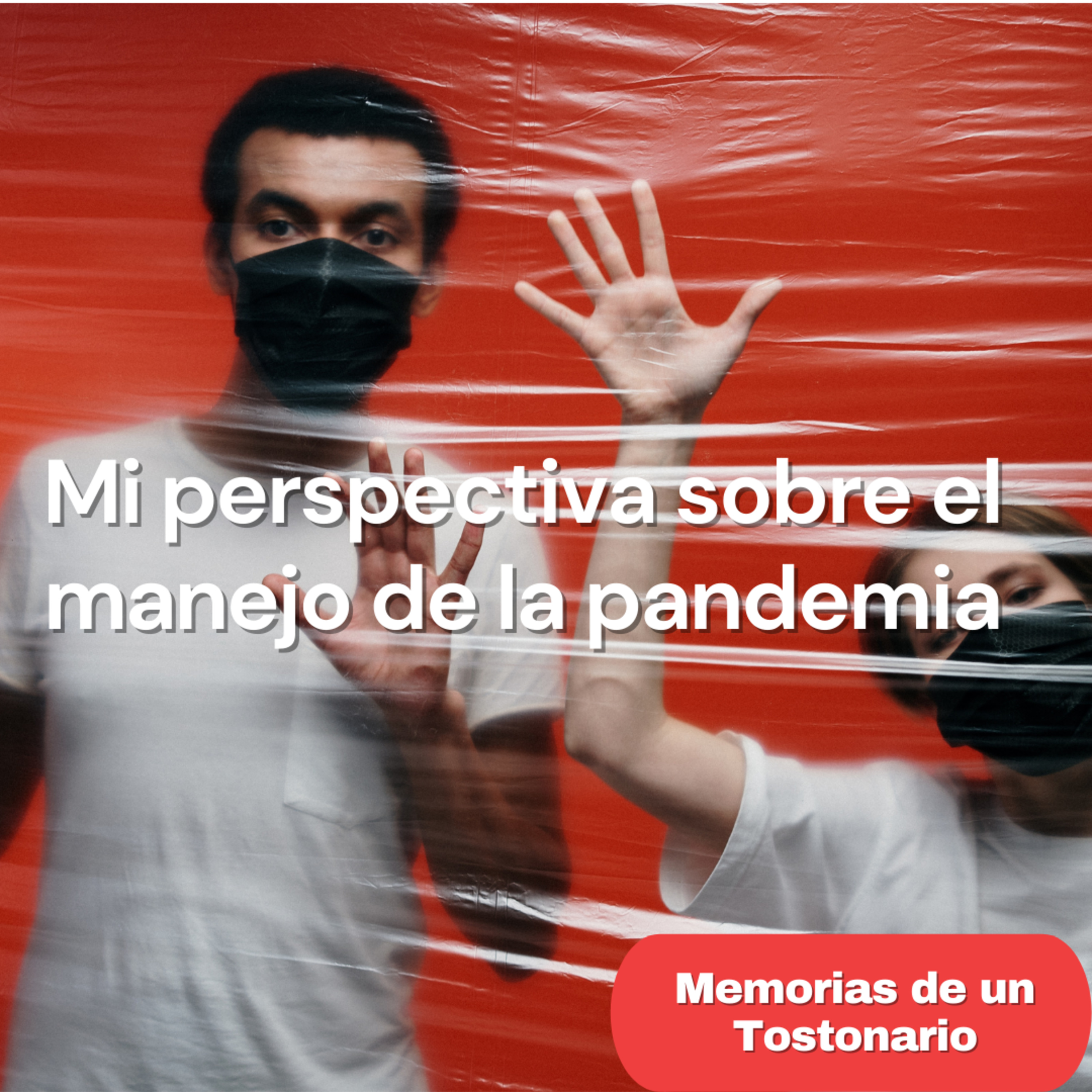 Memorias de un Tostonario
