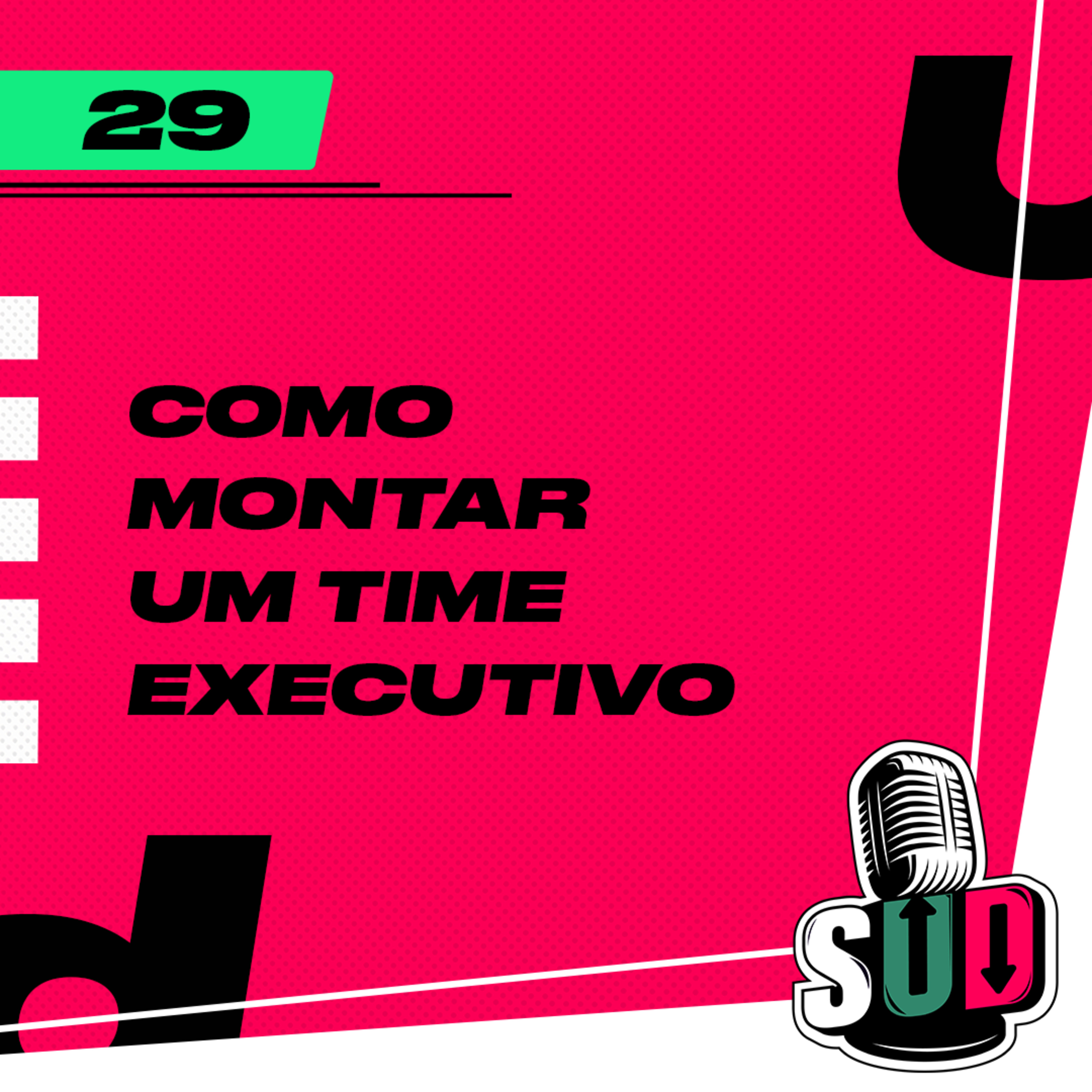 EP 29 - Como montar um time executivo episode artwork