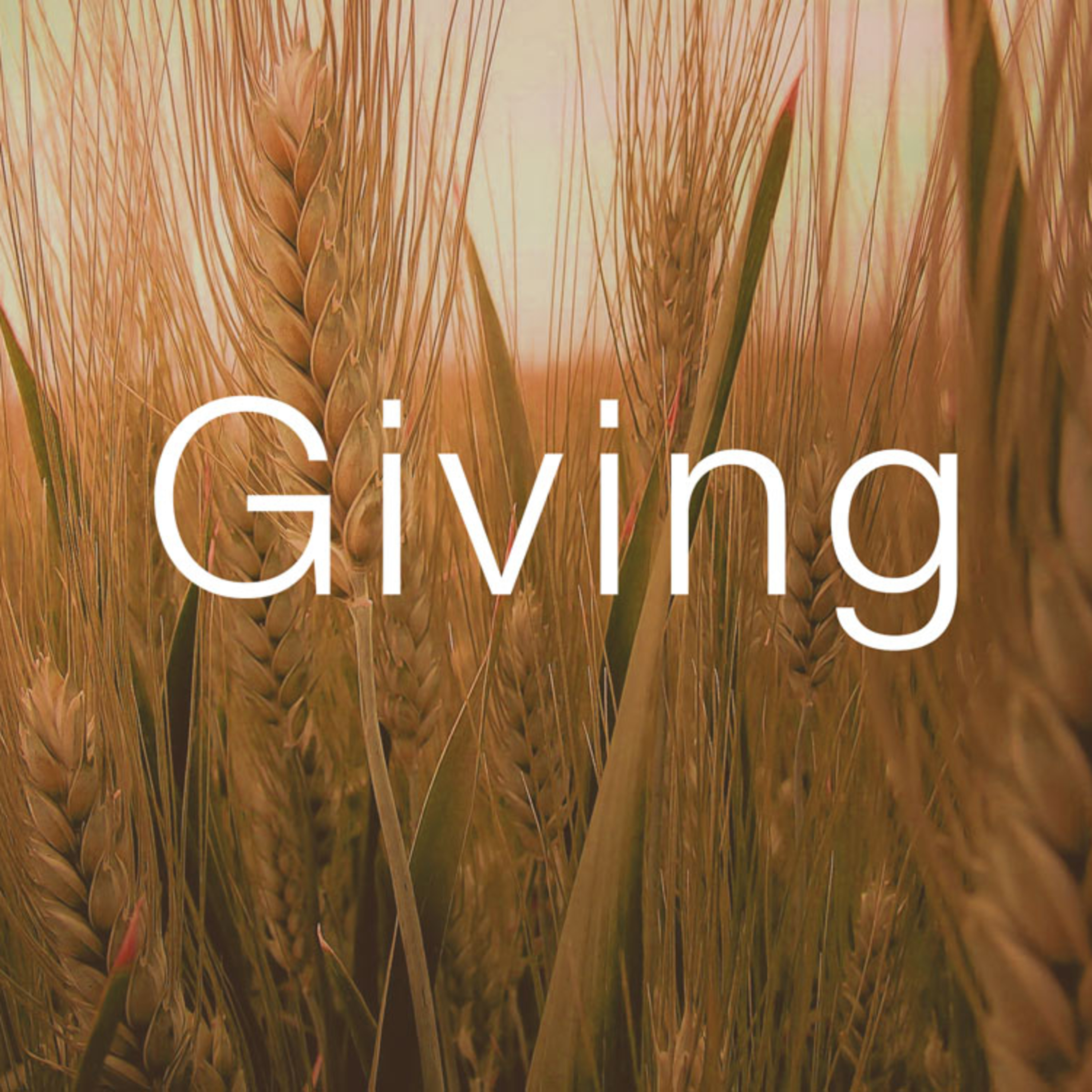Giving for Divine Increase 2 - Rev. Adebara episode artwork