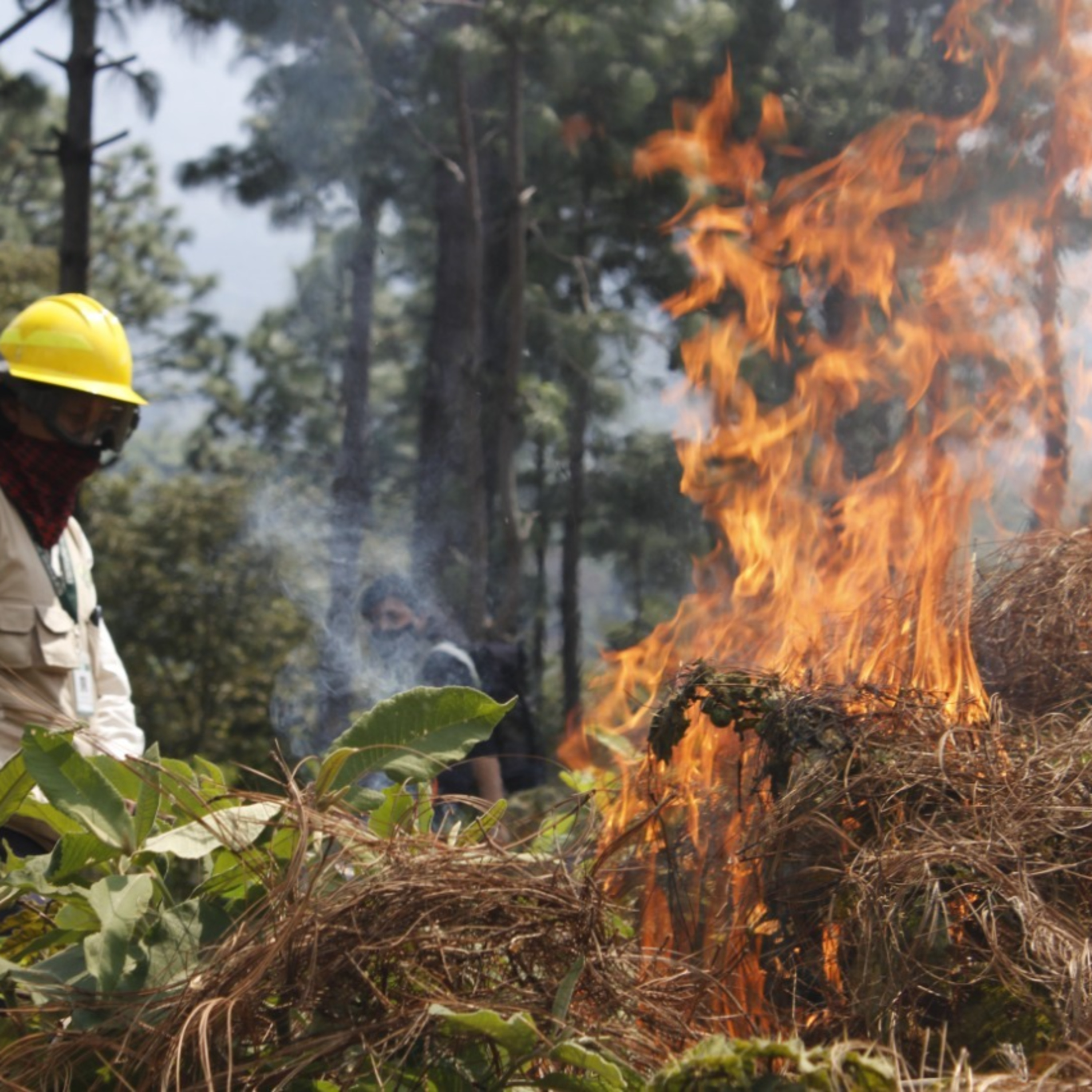 El INAB busca evitar incendios forestales en el departamento de San Marcos episode artwork