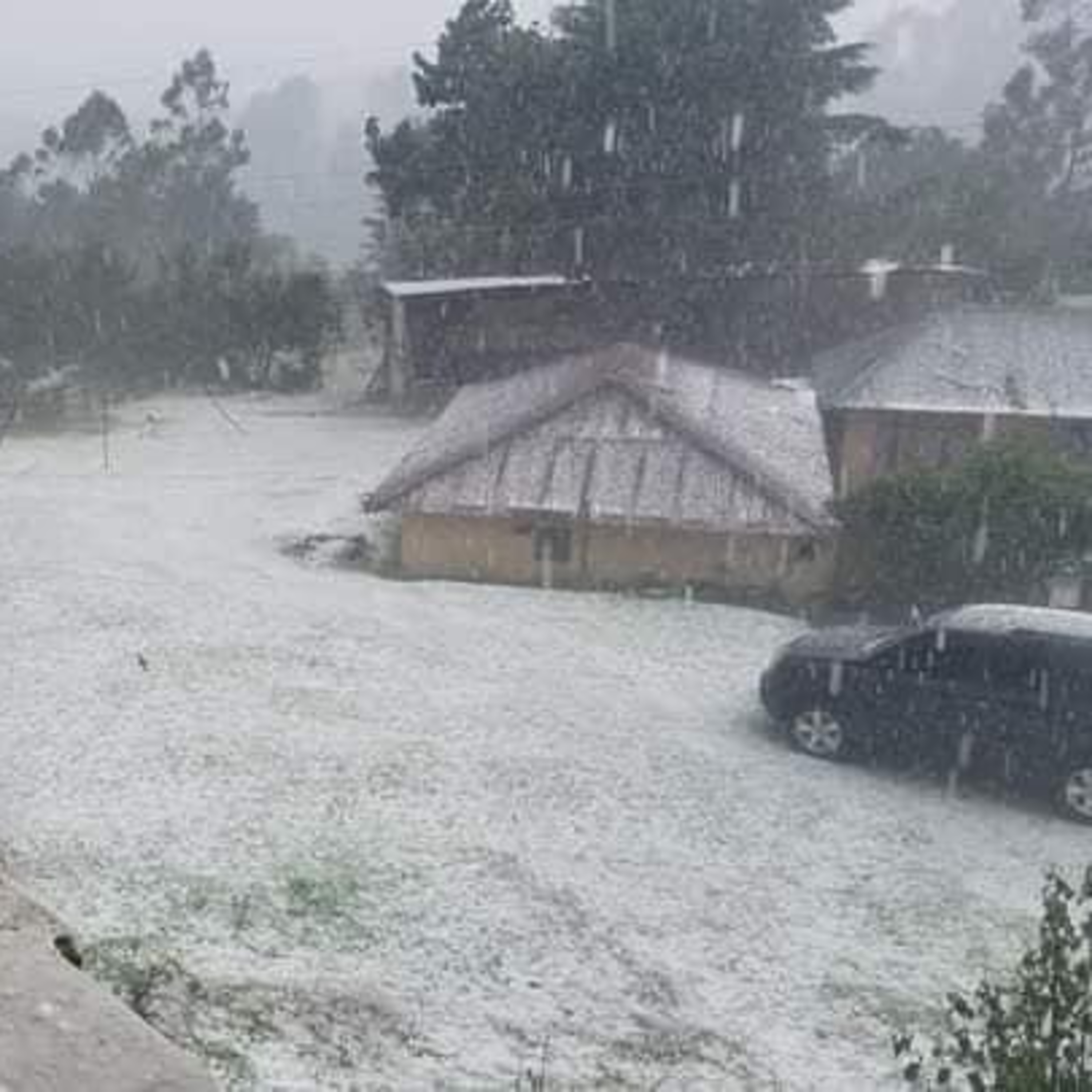 Durante el fin de semana fuerte granizada se hizo presente en varios municipios del departamento de San Marcos episode artwork