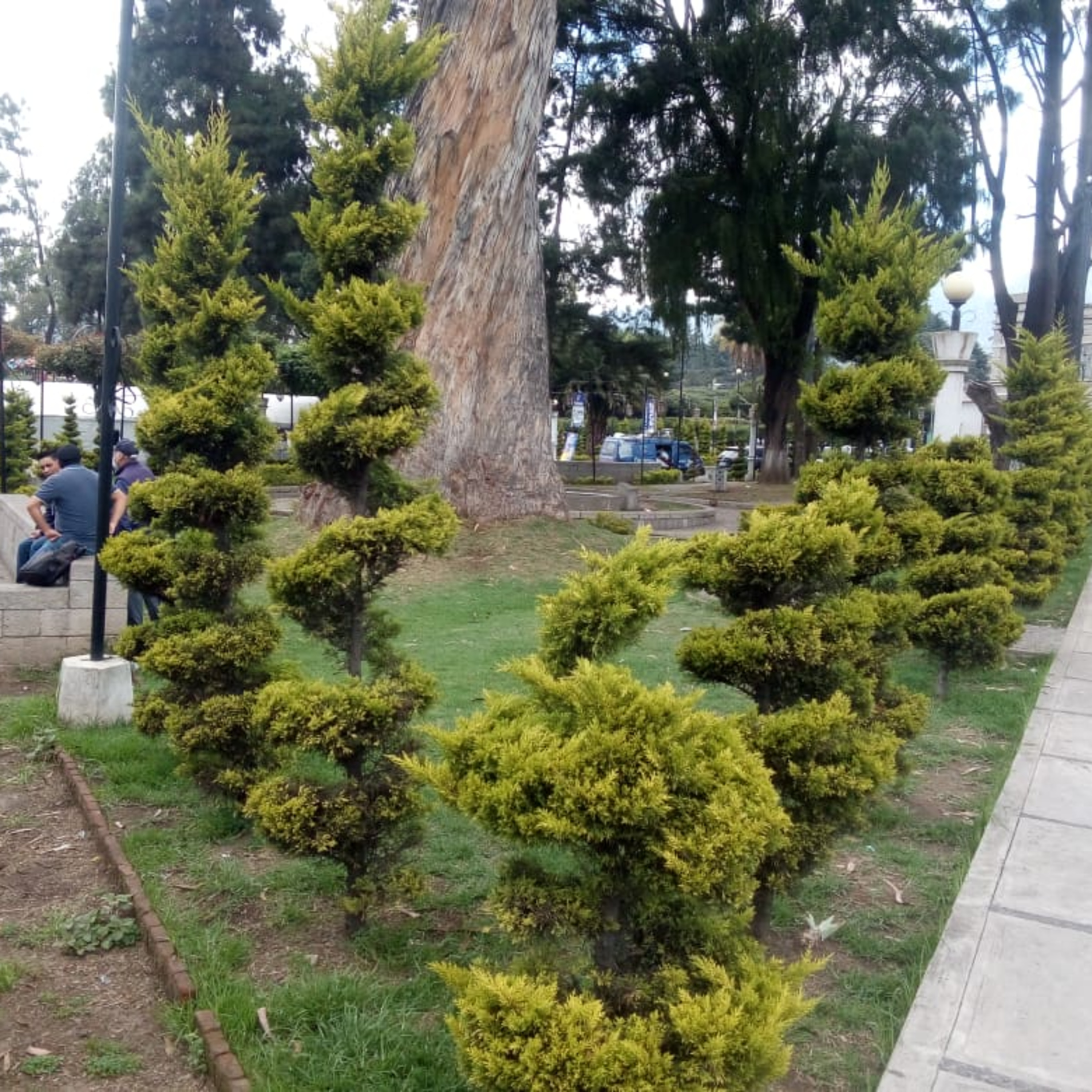 Autoridades de la municipalidad de San Marcos, piden a la población cuidar el jardín Bolívar. episode artwork
