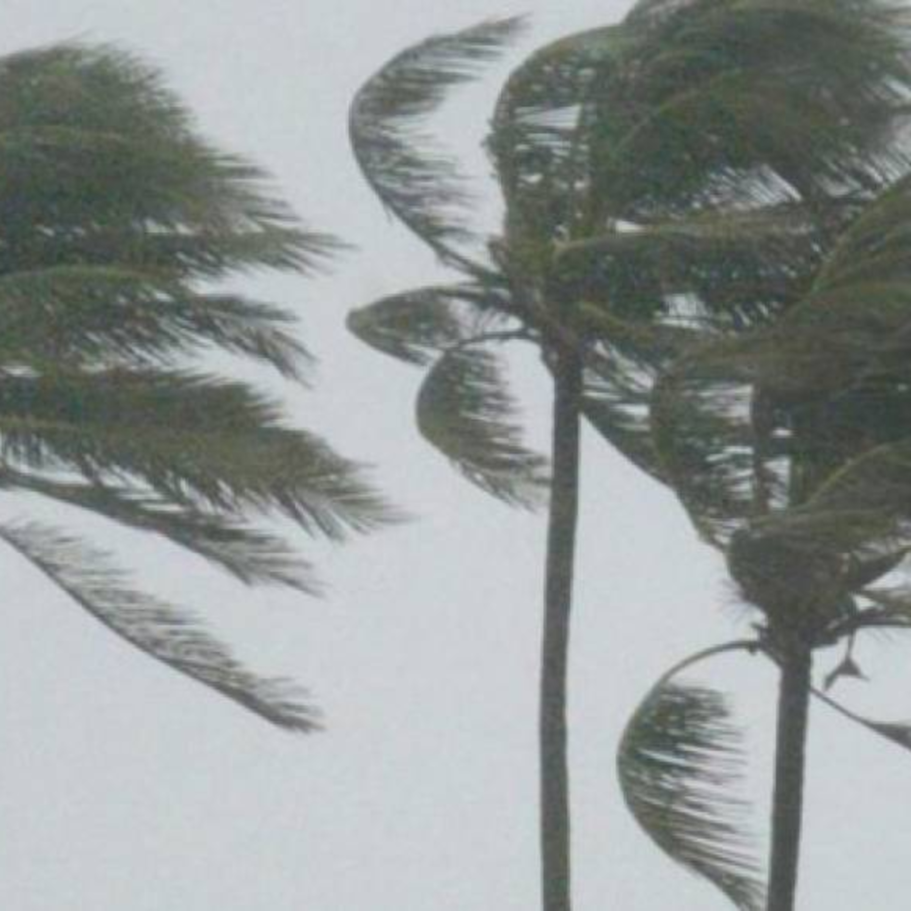 Fuerte viento provocó daños en una viviendo en el municipio de Pajapita, San Marcos.  episode artwork