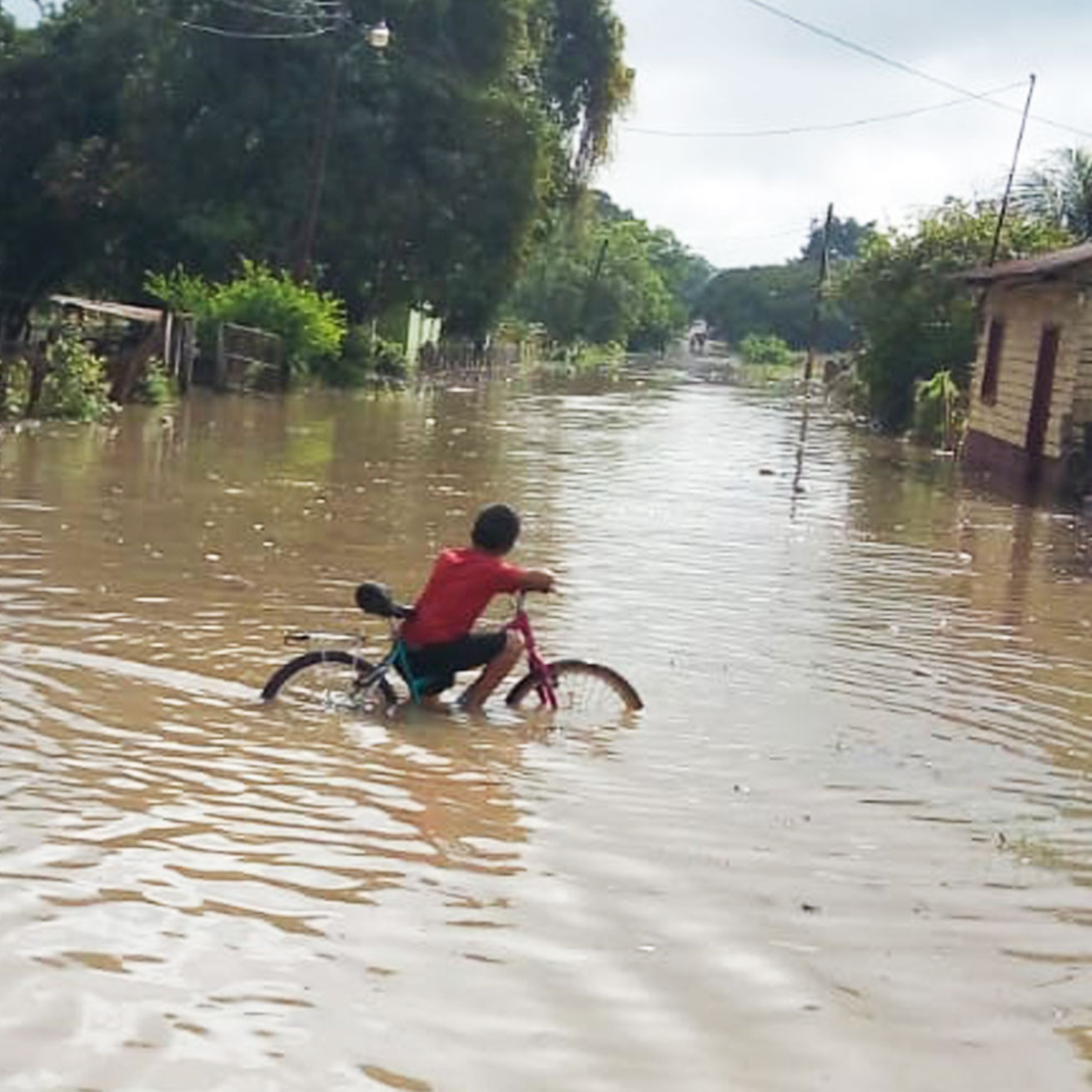 Autoridades del departamento de San Marcos se encuentran preparados para atender posibles emergencias ante las constantes lluvias.  episode artwork