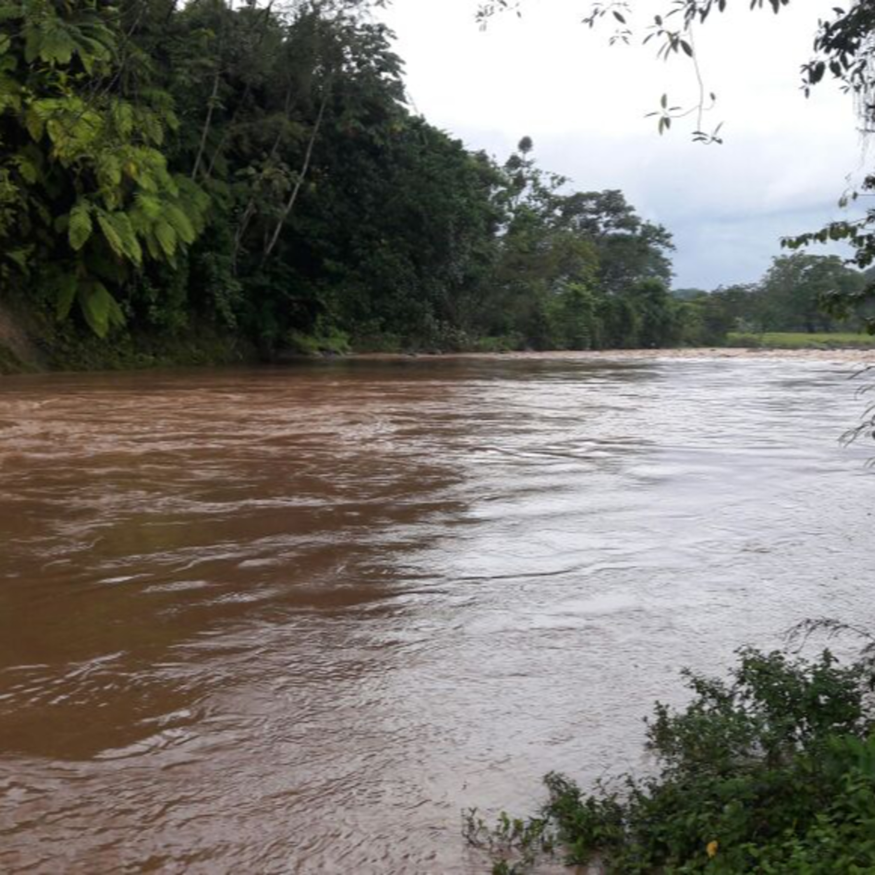 El río Petacalapa, ubicado en el municipio de Malacatán, San Marcos, ha aumentado su caudal.  episode artwork