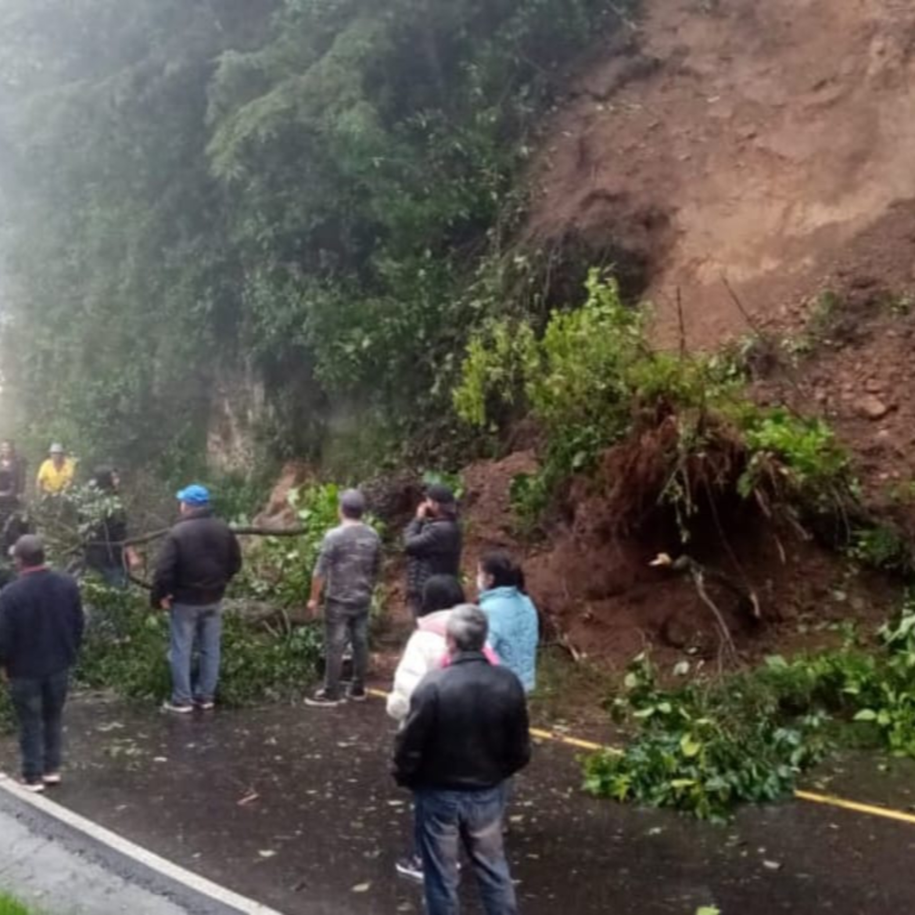 Derrumbe y caída de árboles se registró en la Ruta Nacional 12 Norte en el departamento de San Marcos.  episode artwork