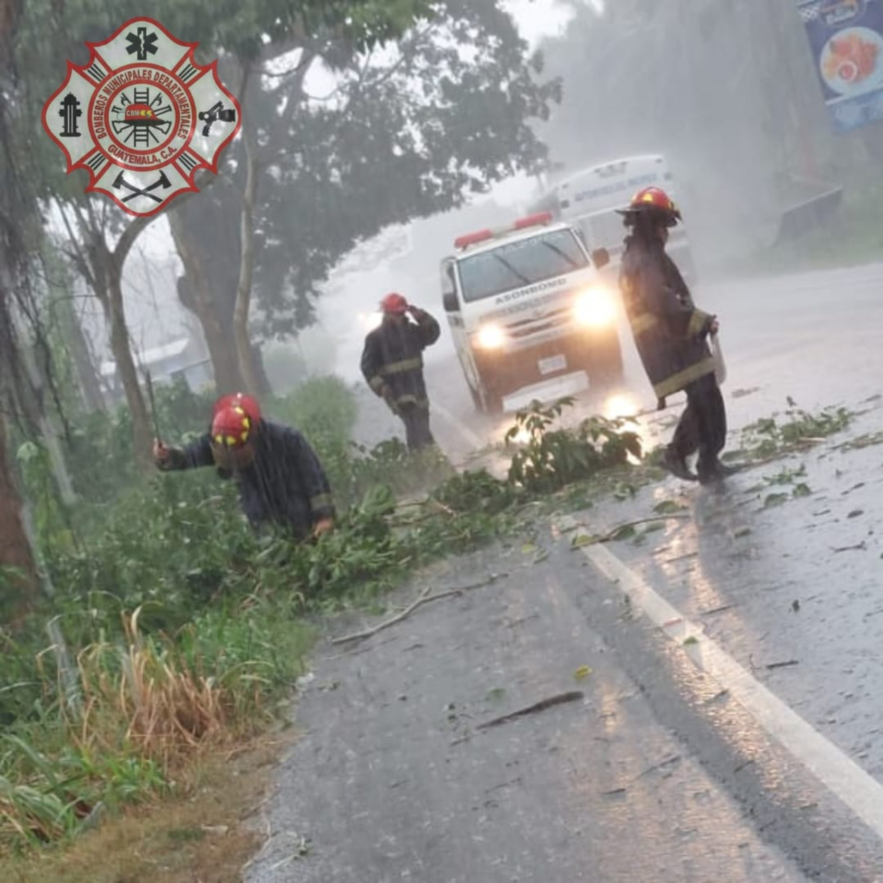 Debido a las constantes lluvias que se han registrado en la zona costera de San Marcos árboles cayeron en el municipio de Pajapita.  episode artwork
