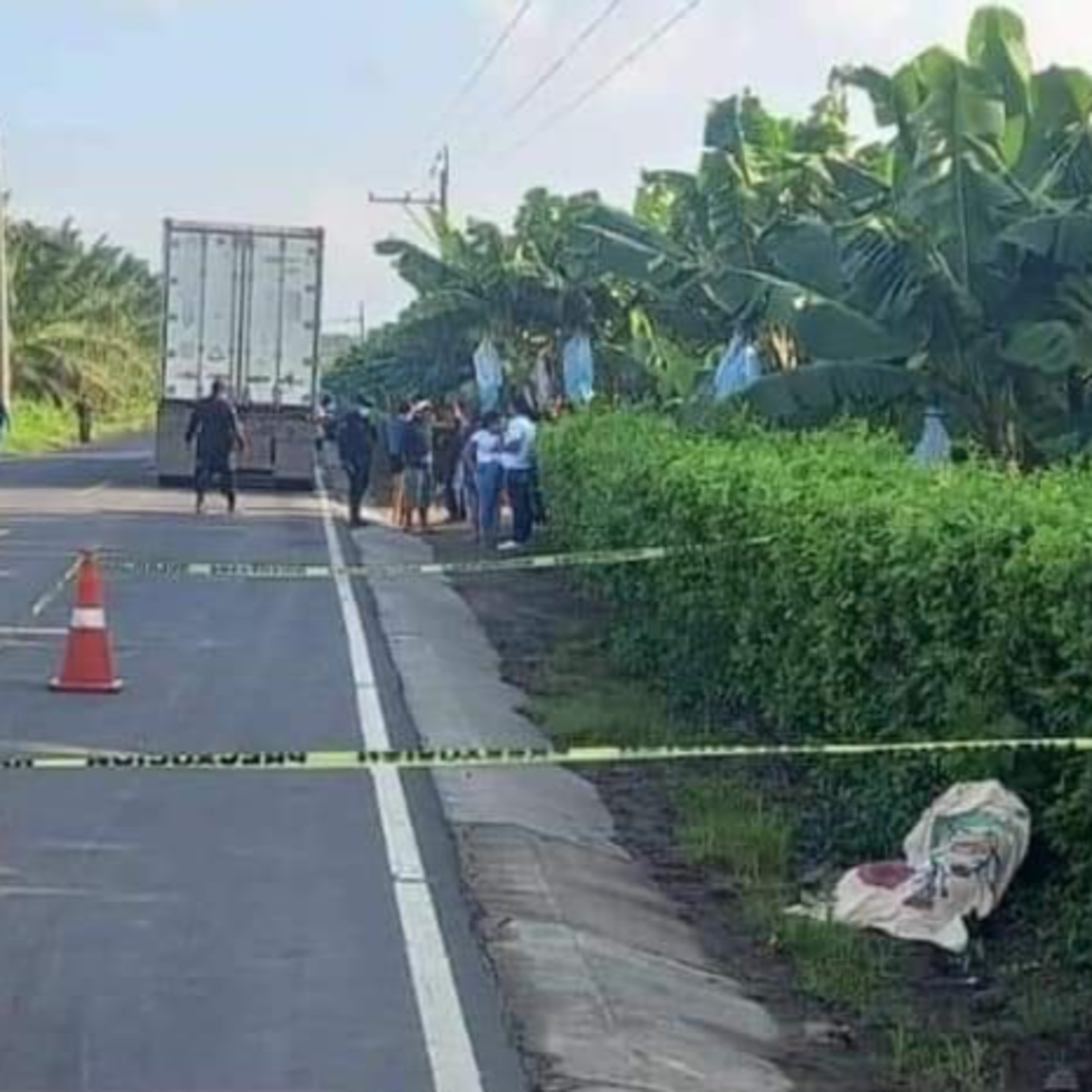 Motorista falleció luego de ser arrollado por un trailer en el municipio de Ocós, San Marcos.  episode artwork