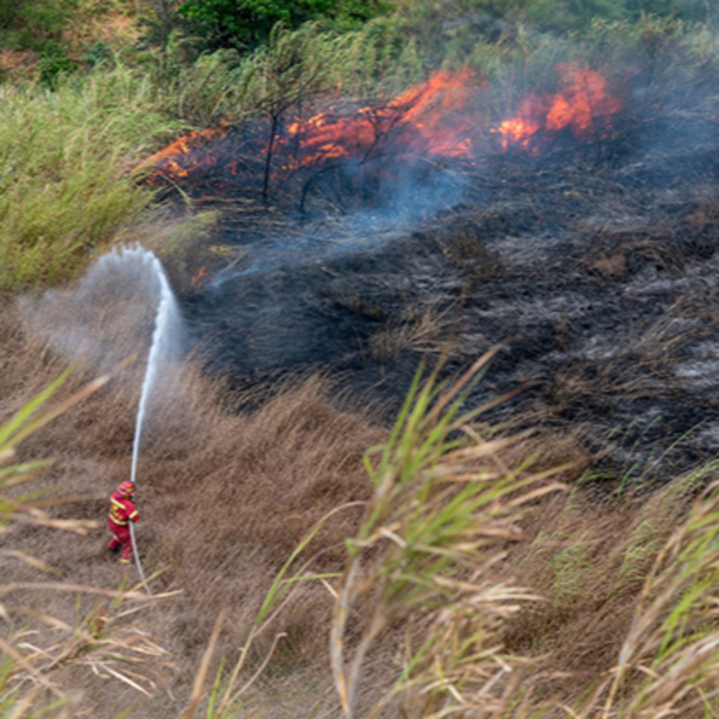 Incendios forestales se siguen registrando en el altiplano del departamento de San Marcos. episode artwork