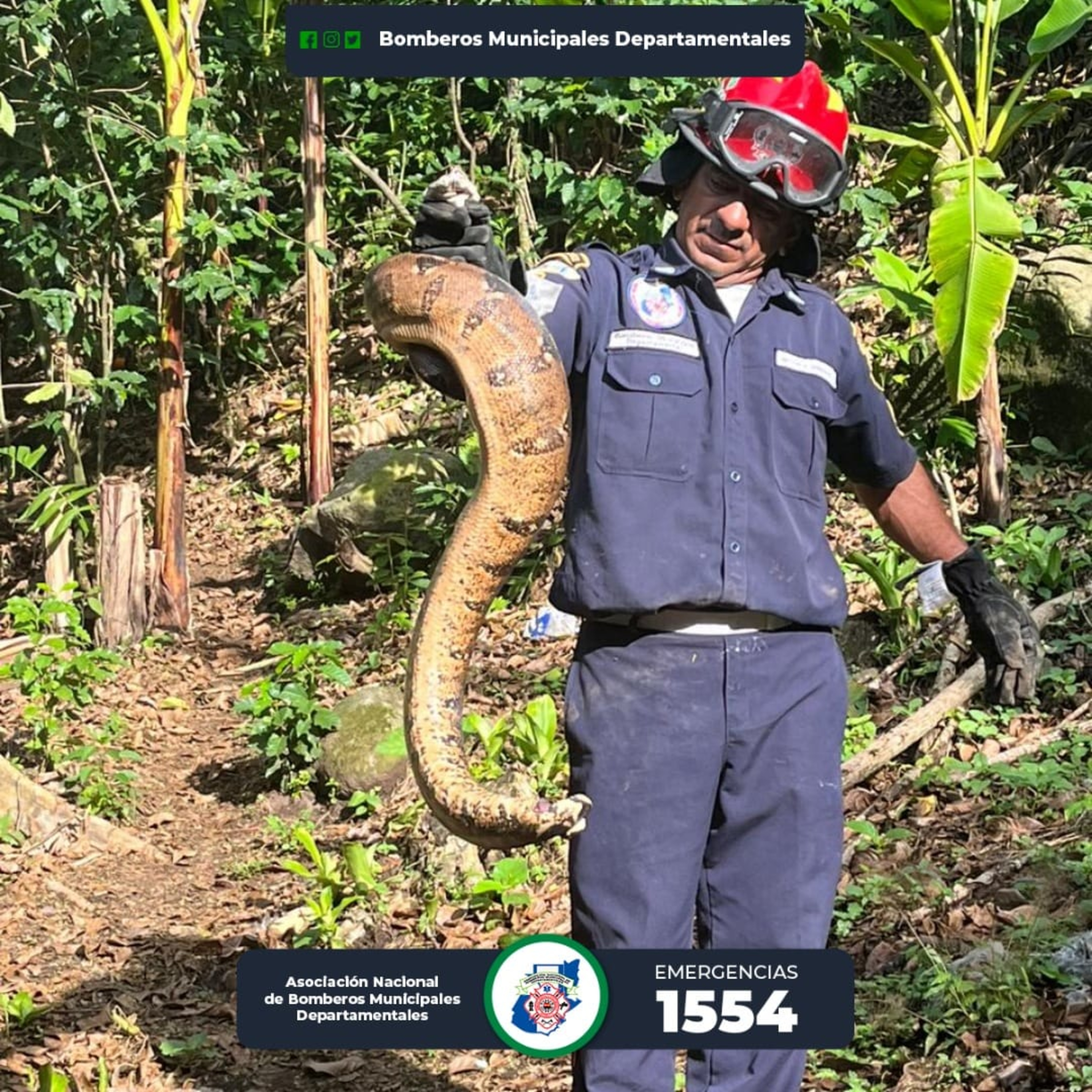 Localizan un reptil dentro de una vivienda en el municipio de San Pablo. episode artwork