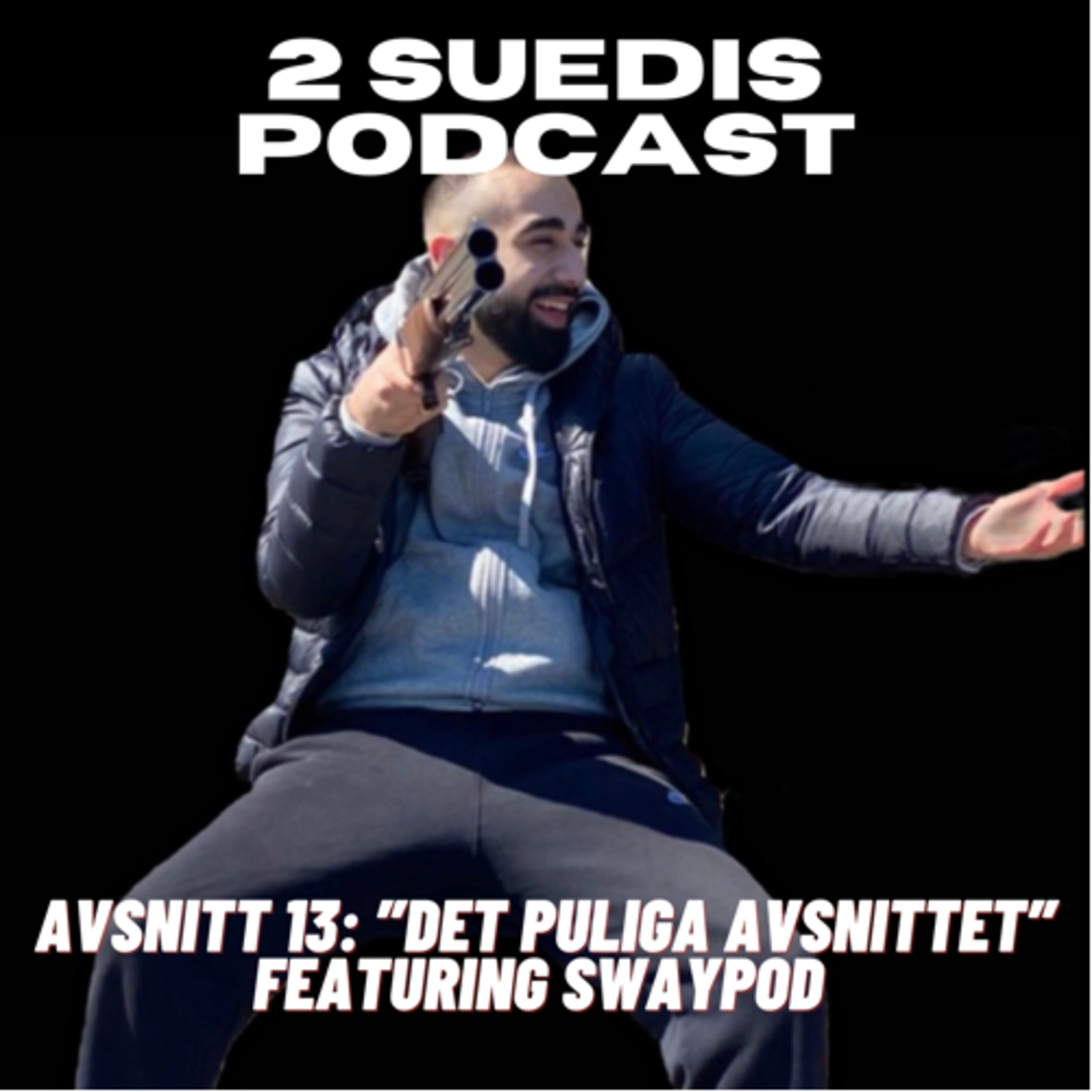 2 Suedis