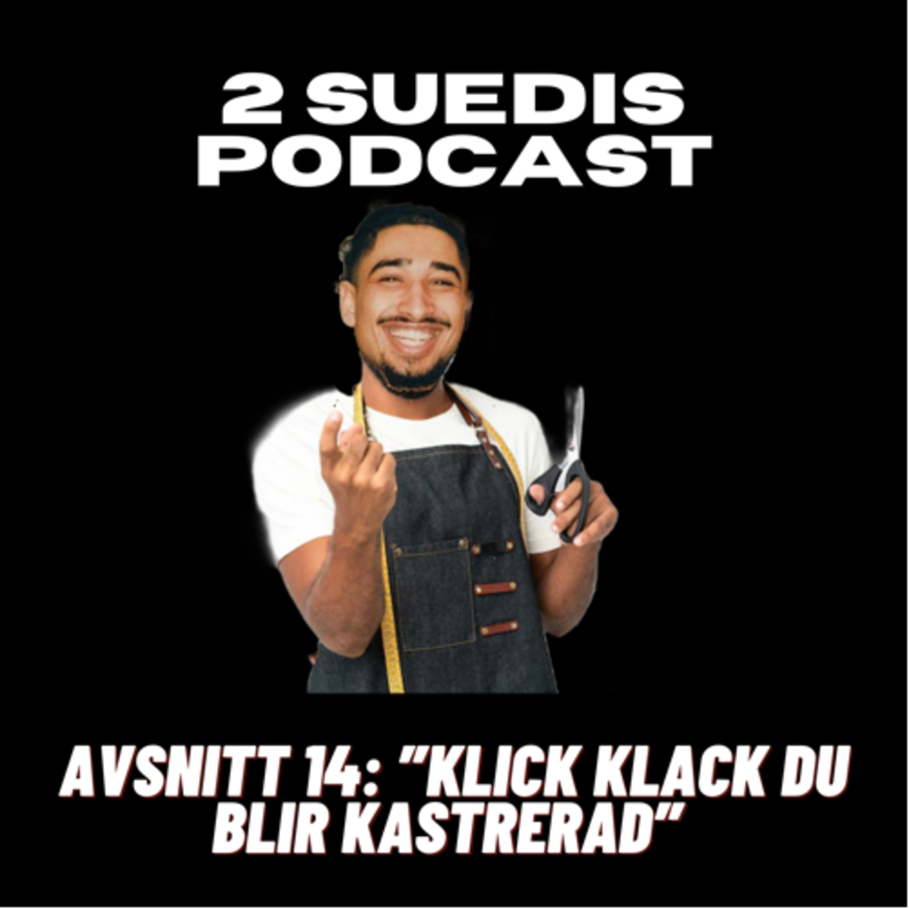 2 Suedis