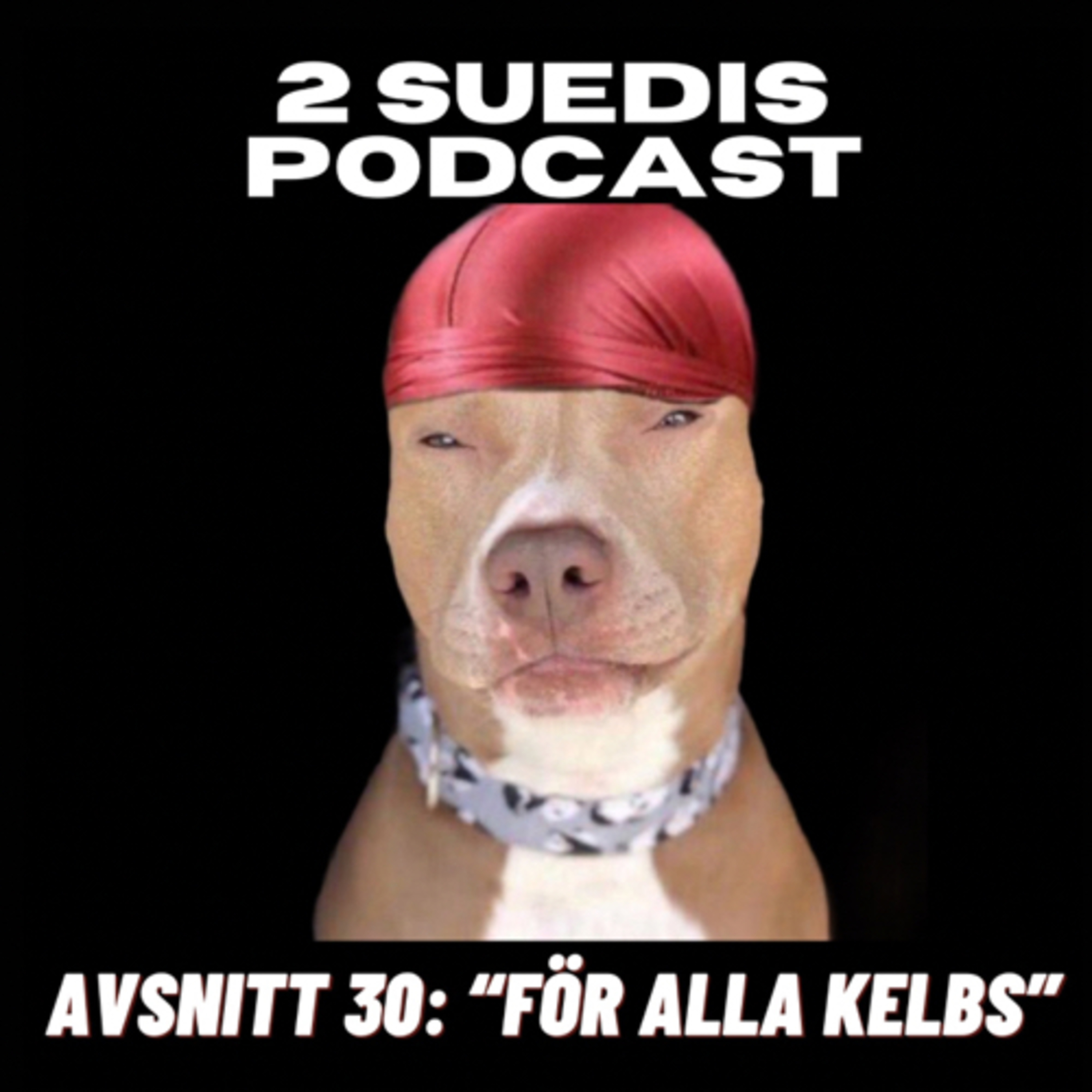 2 Suedis