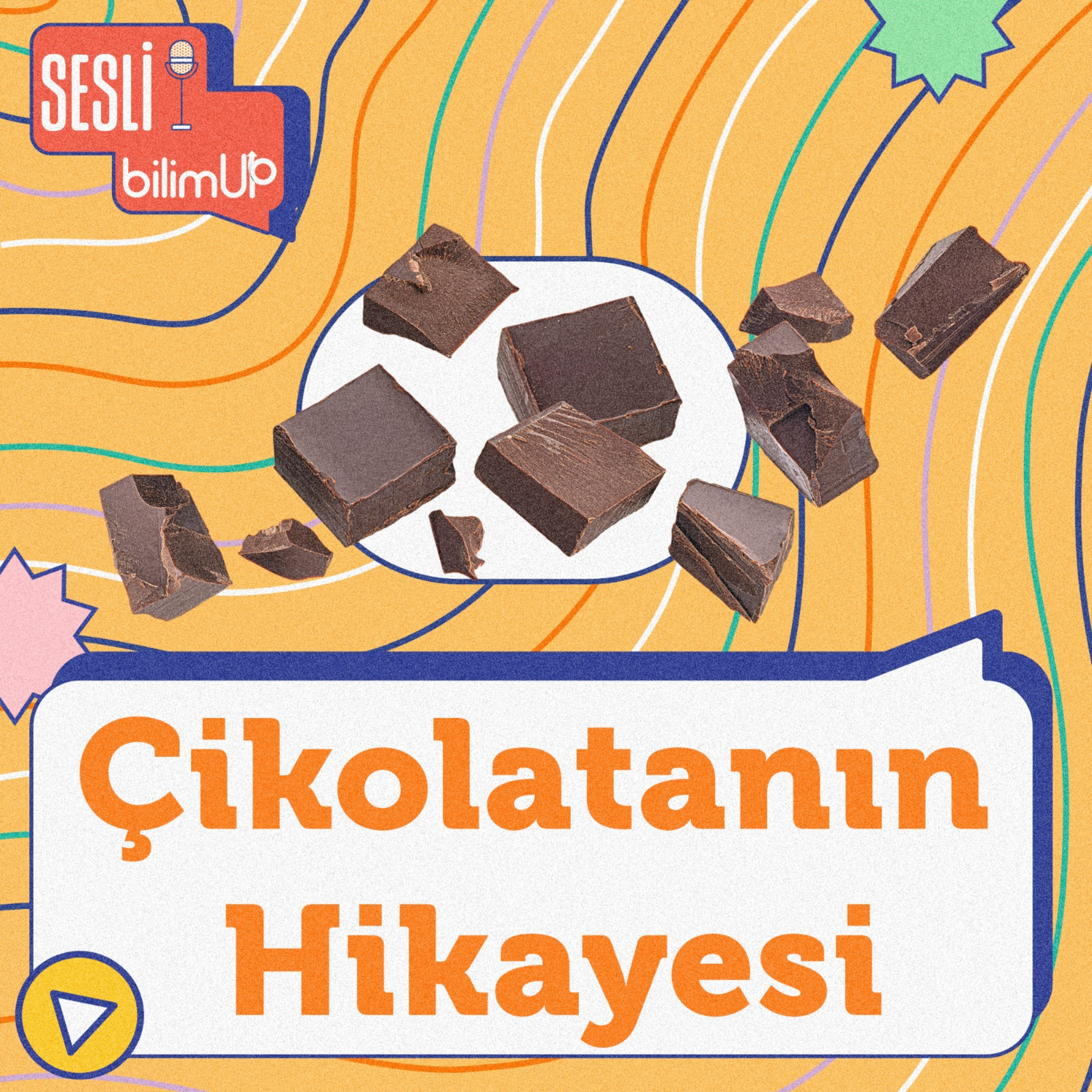 bilimUP ile Bilimsel İçerikler!