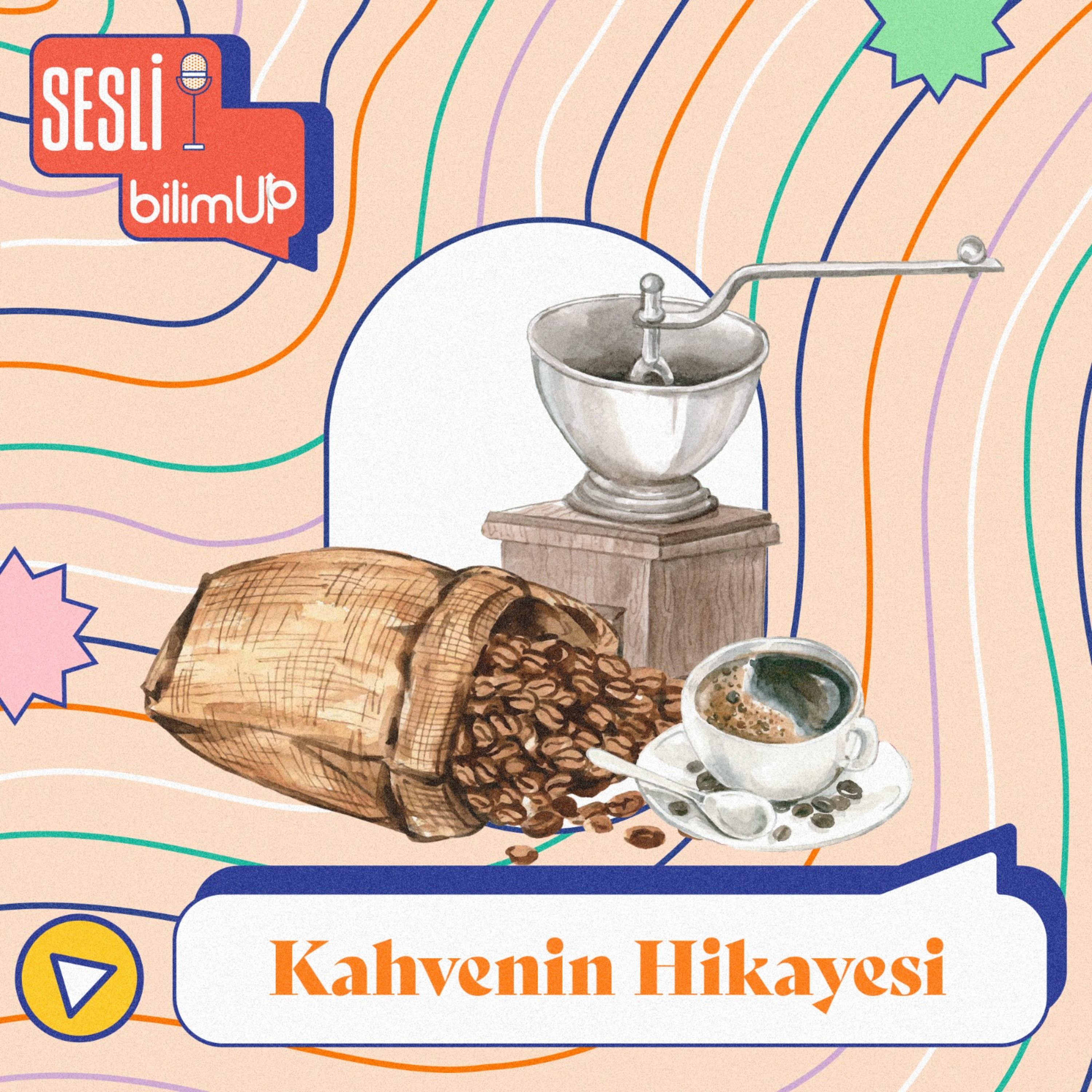bilimUP ile Bilimsel İçerikler!