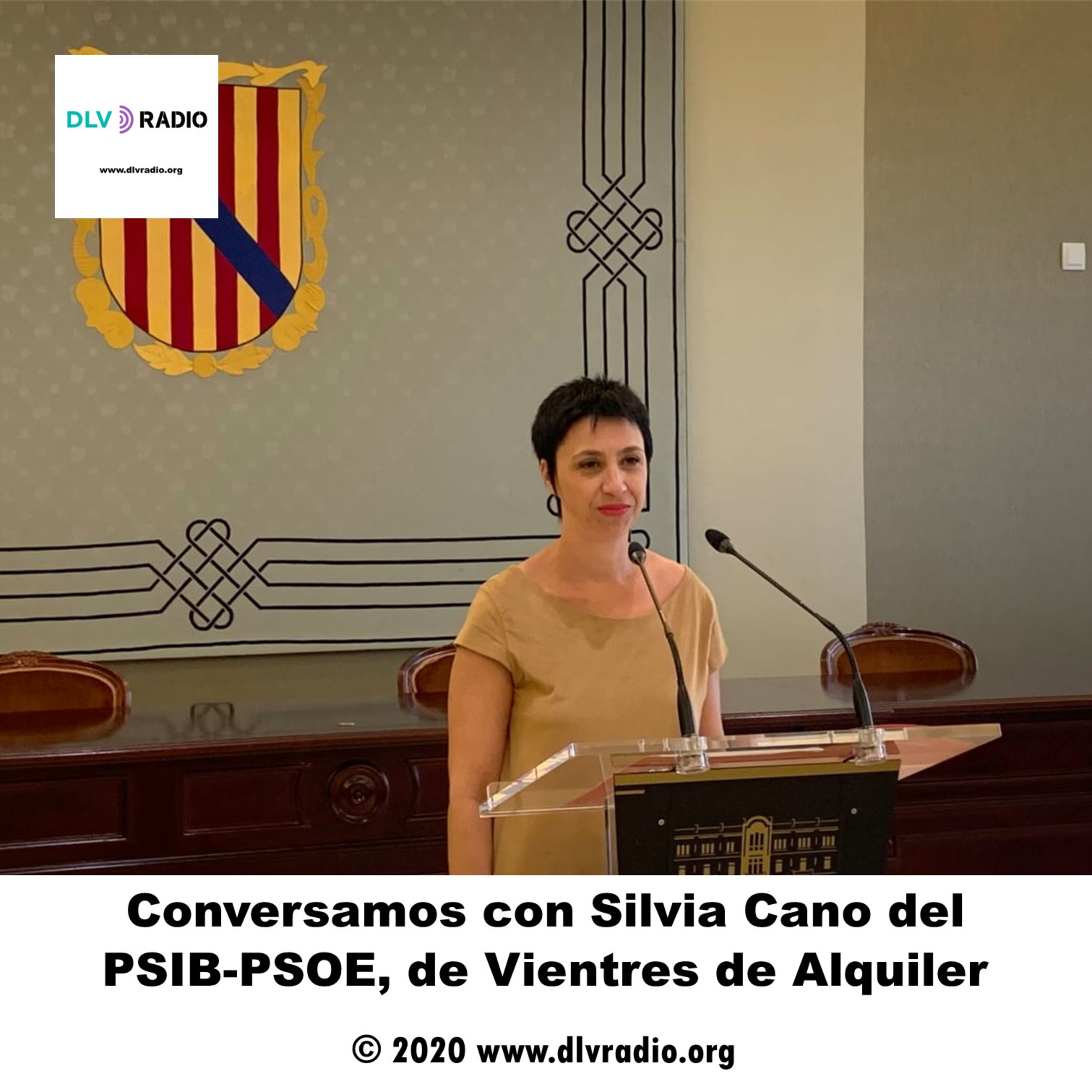 Programación DLV RADIO