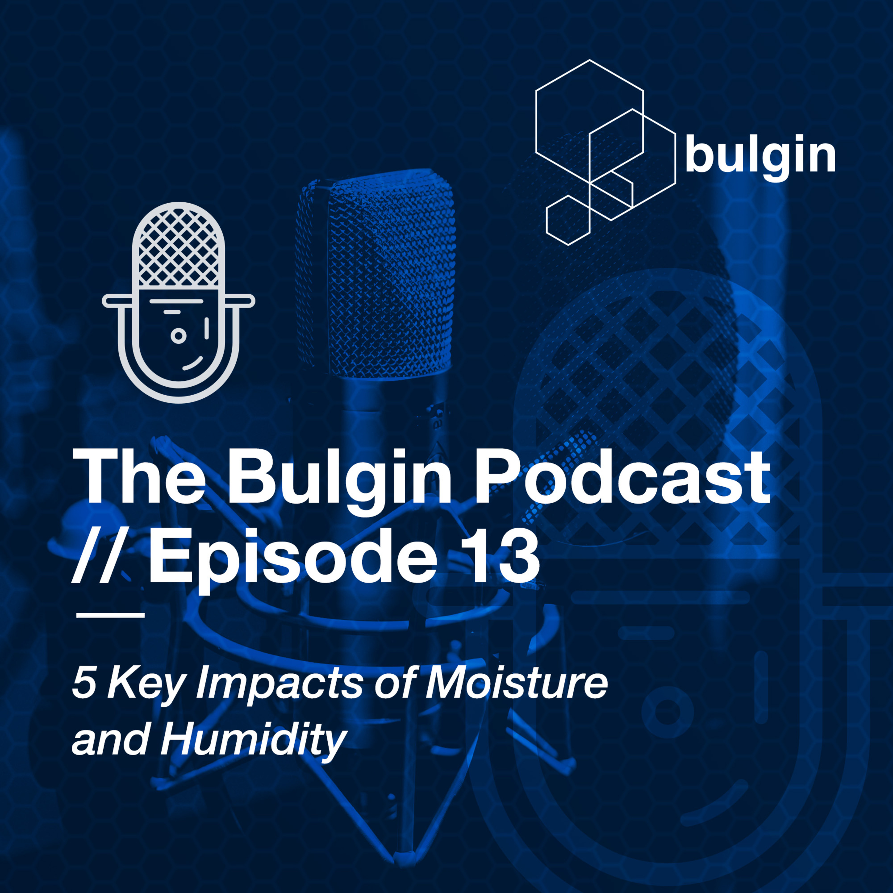 The Bulgin Podcast