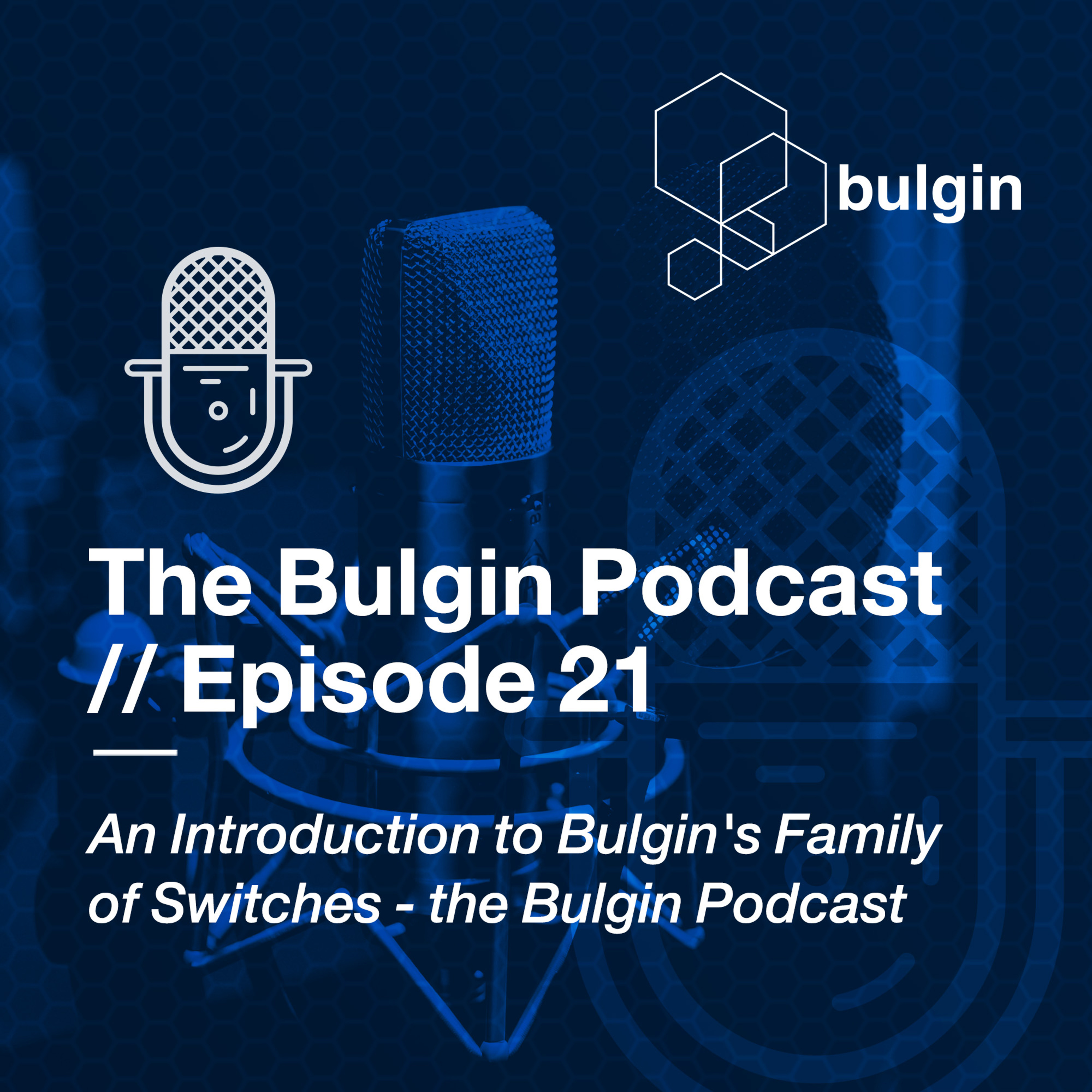 The Bulgin Podcast