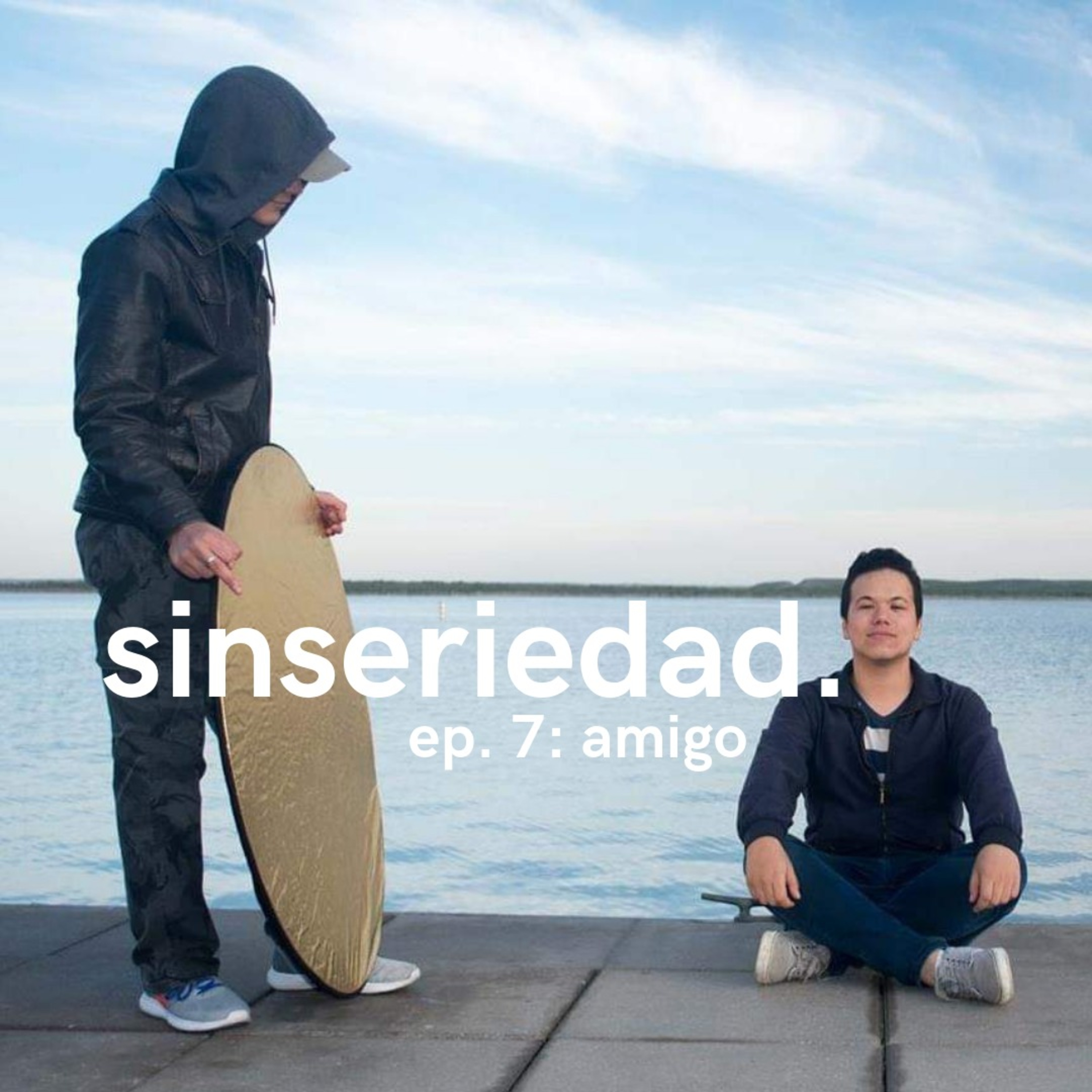 sinseriedad