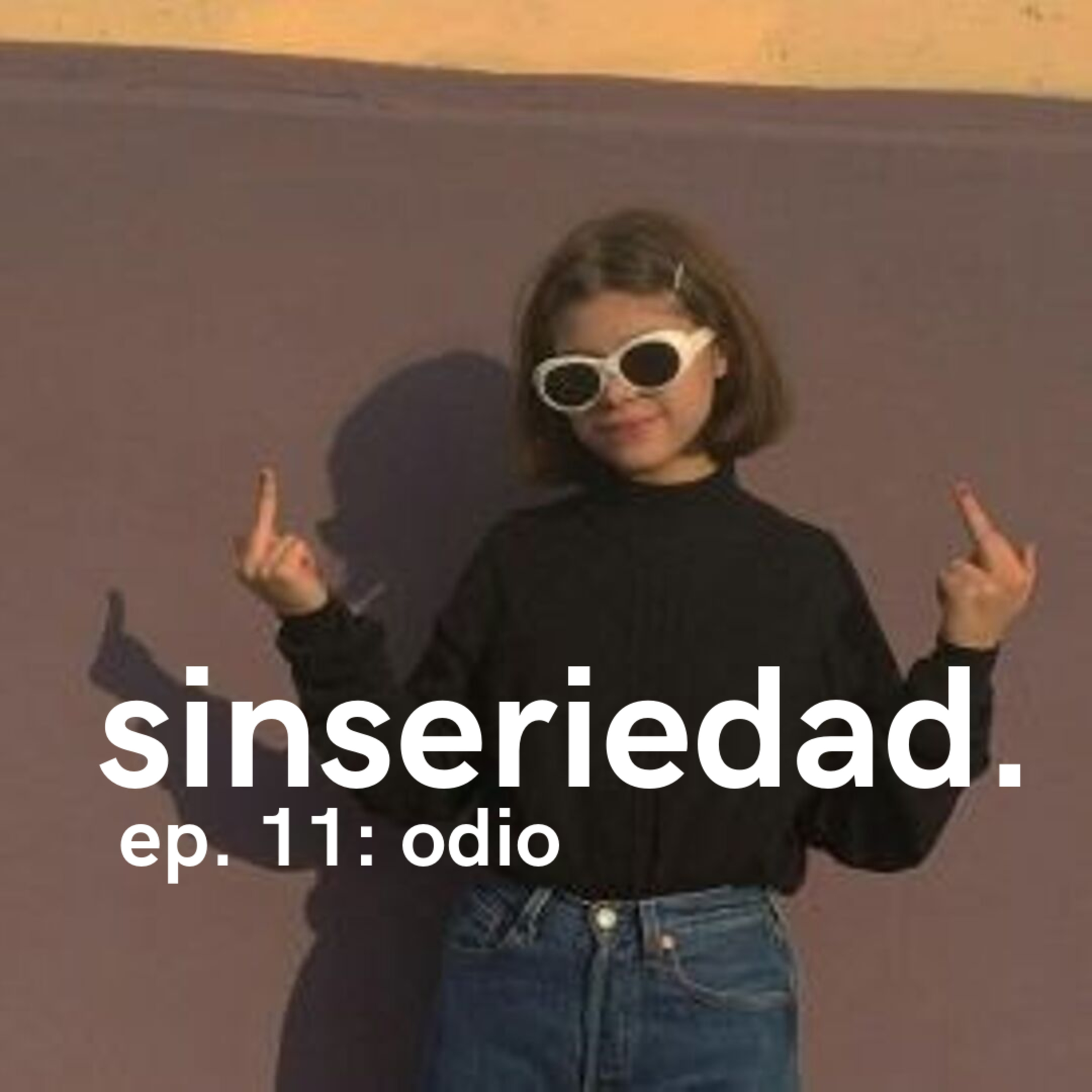 sinseriedad