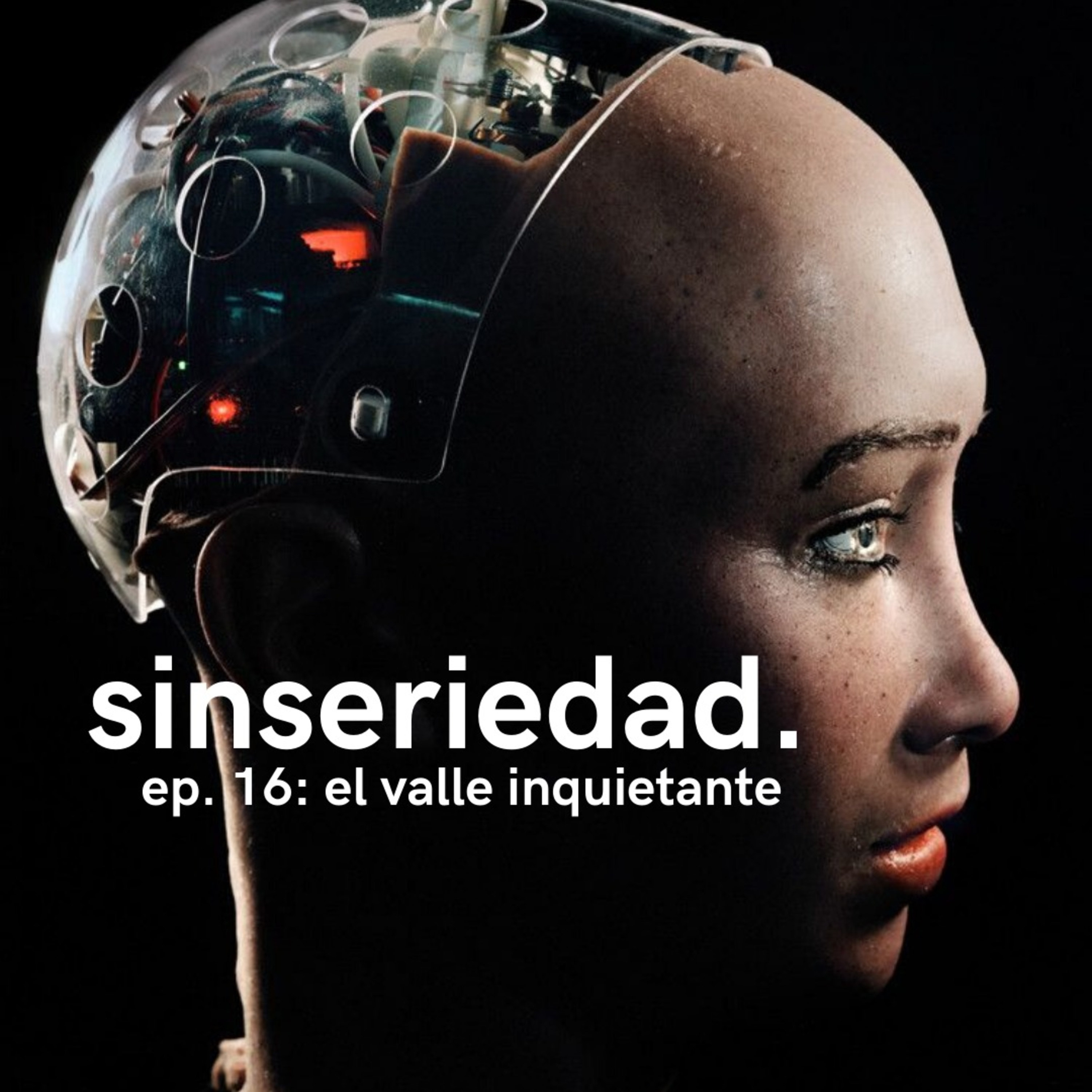 sinseriedad