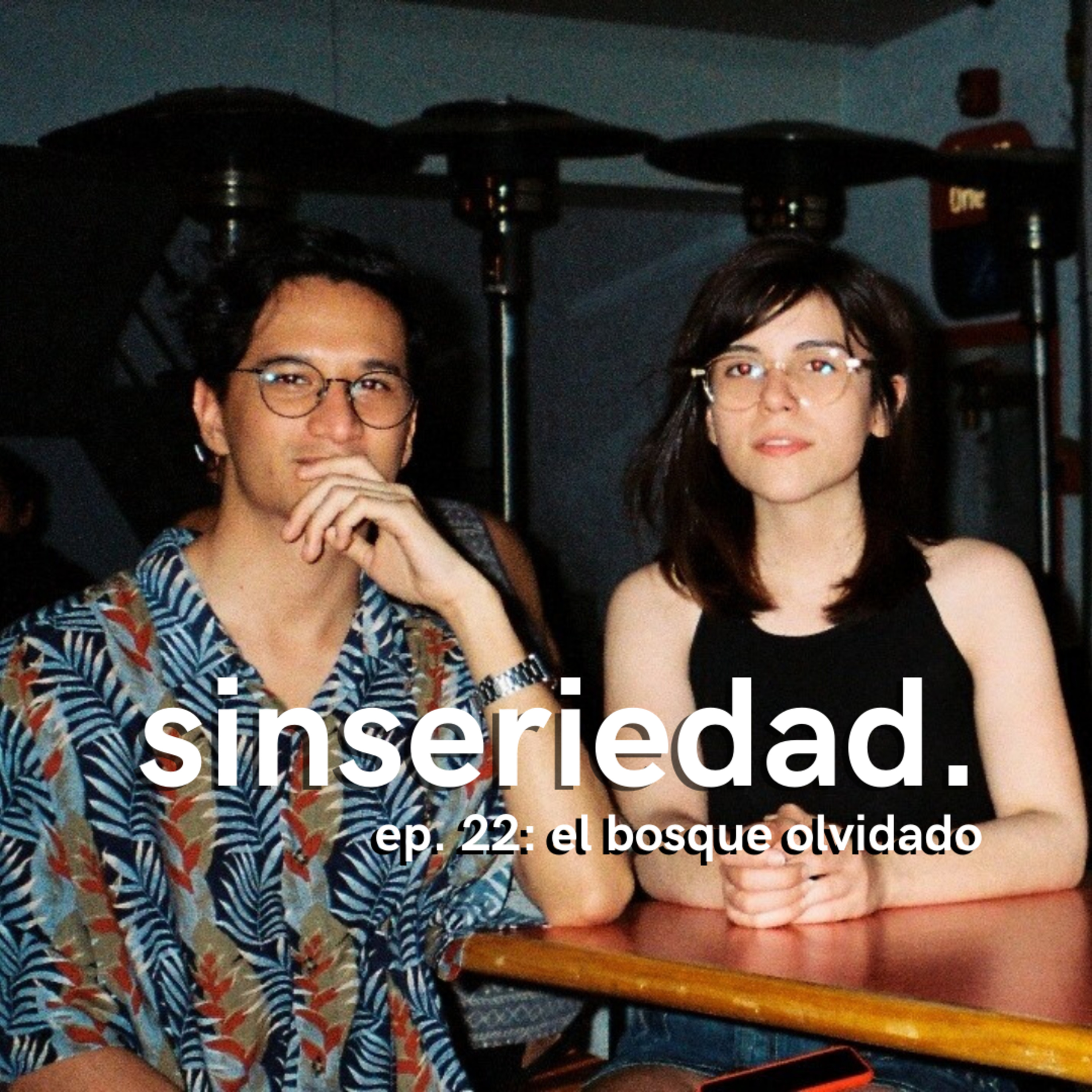 sinseriedad