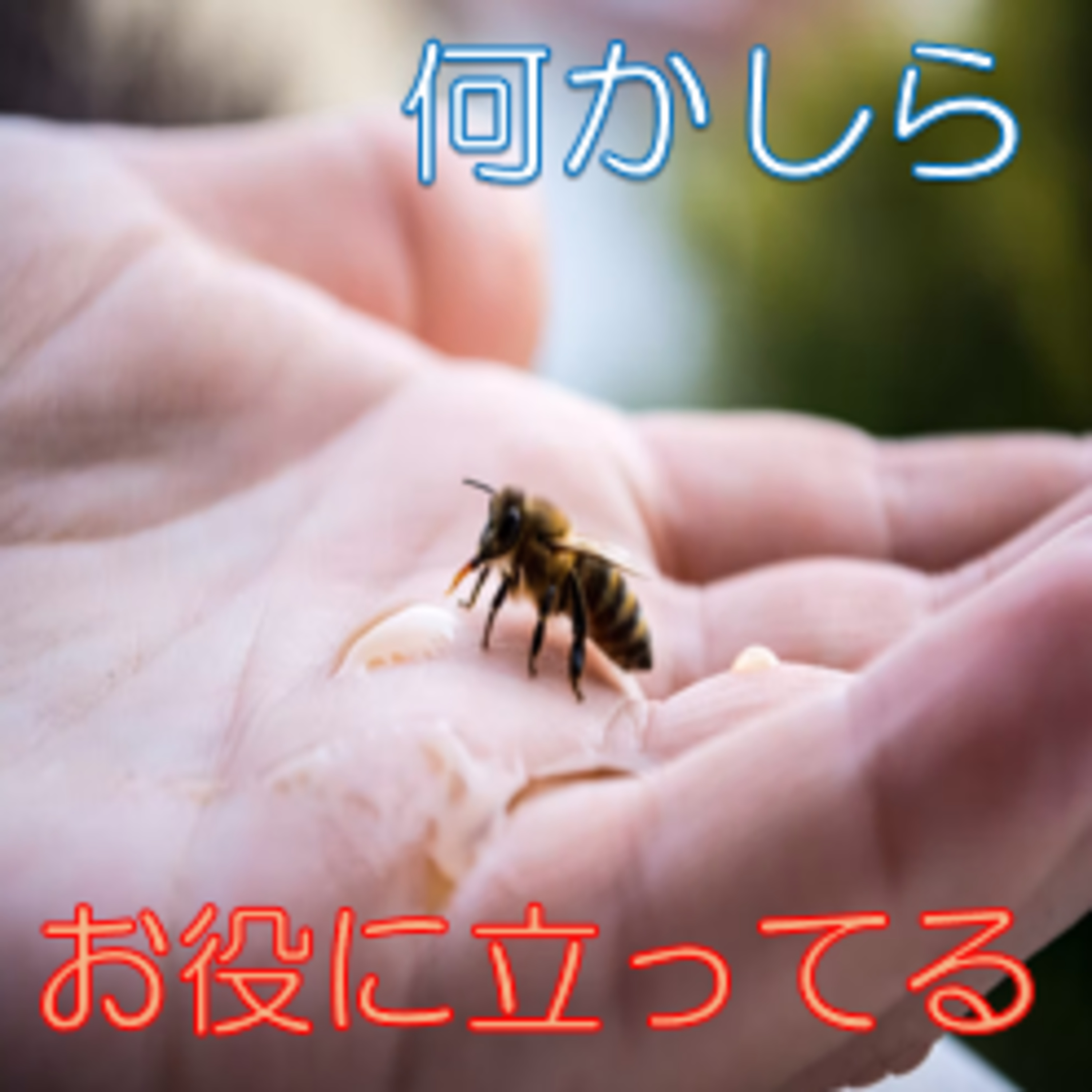 持ちつ持たれつ 役に立っている