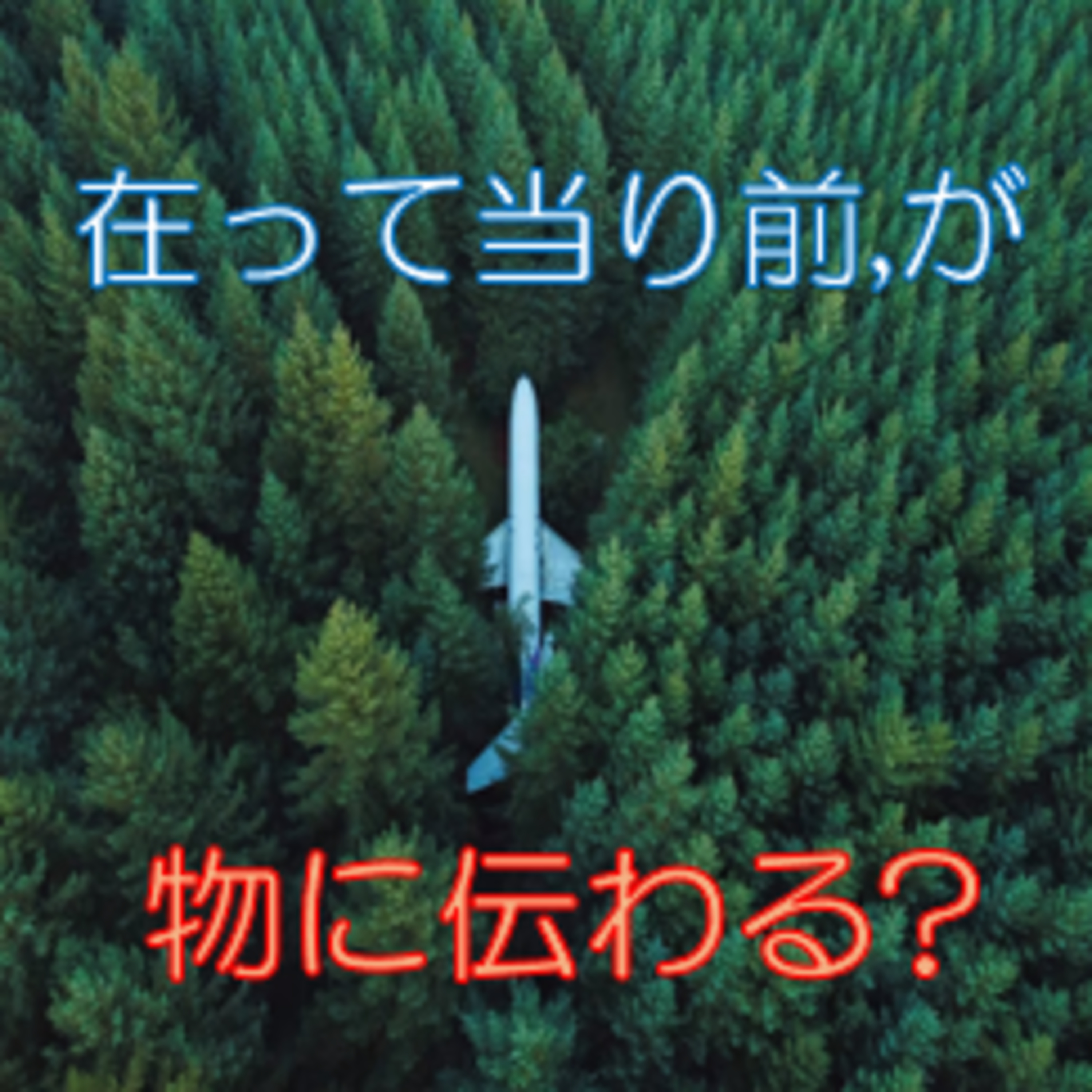 貴重な日用品の取り扱いにご用心